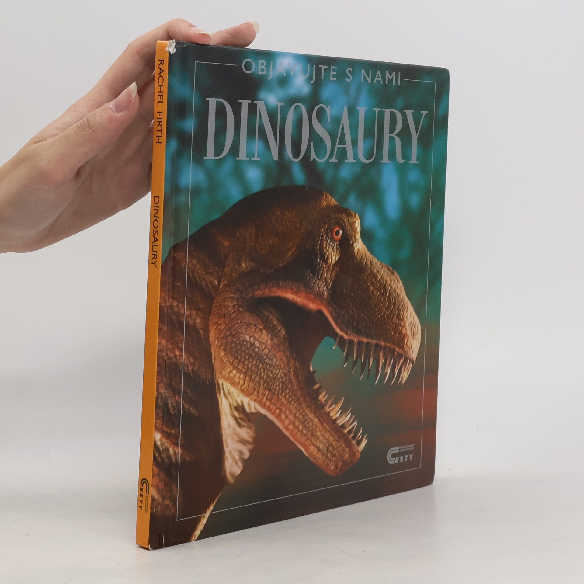 Rachel Firth Dinosaury