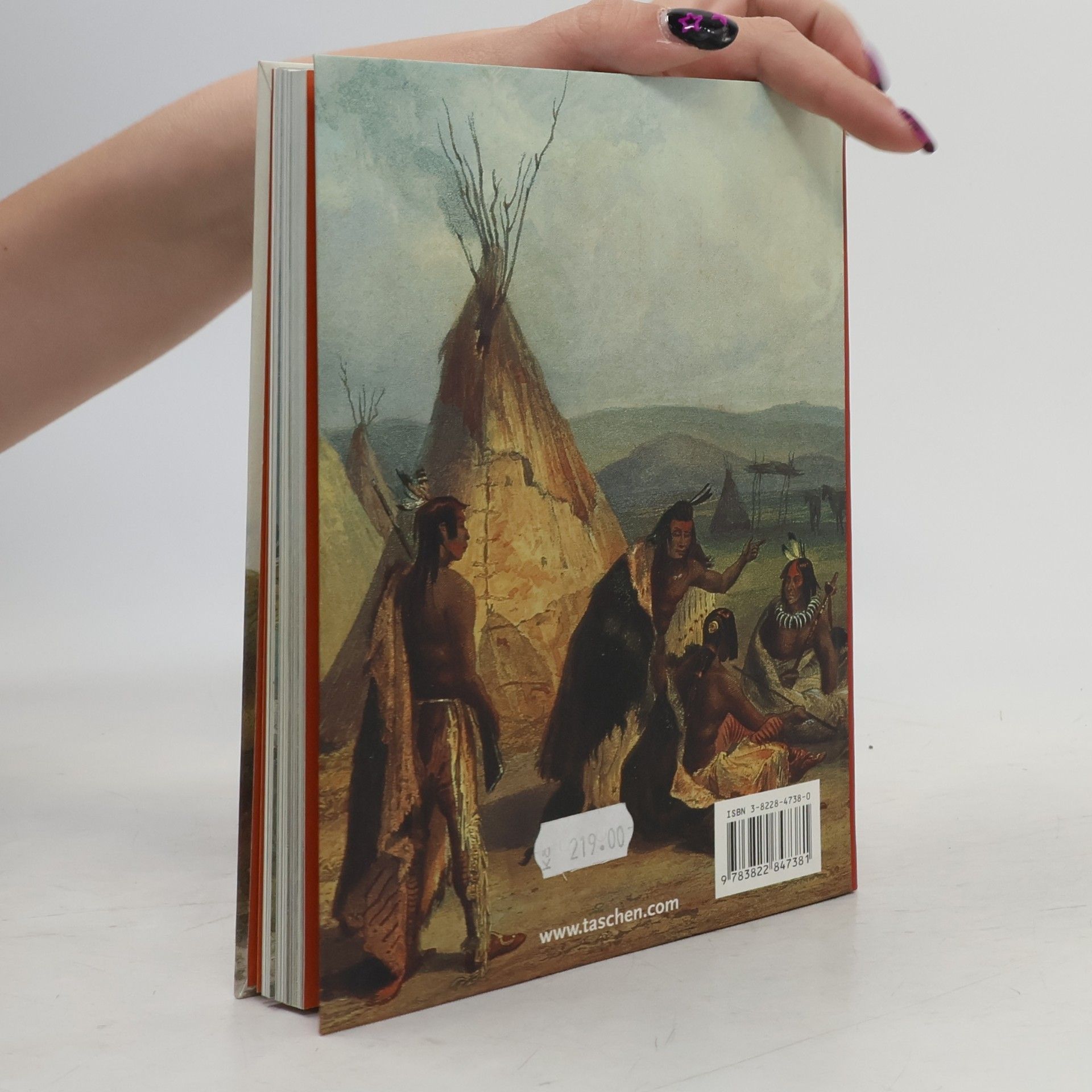 Karl Bodmer The American Indian