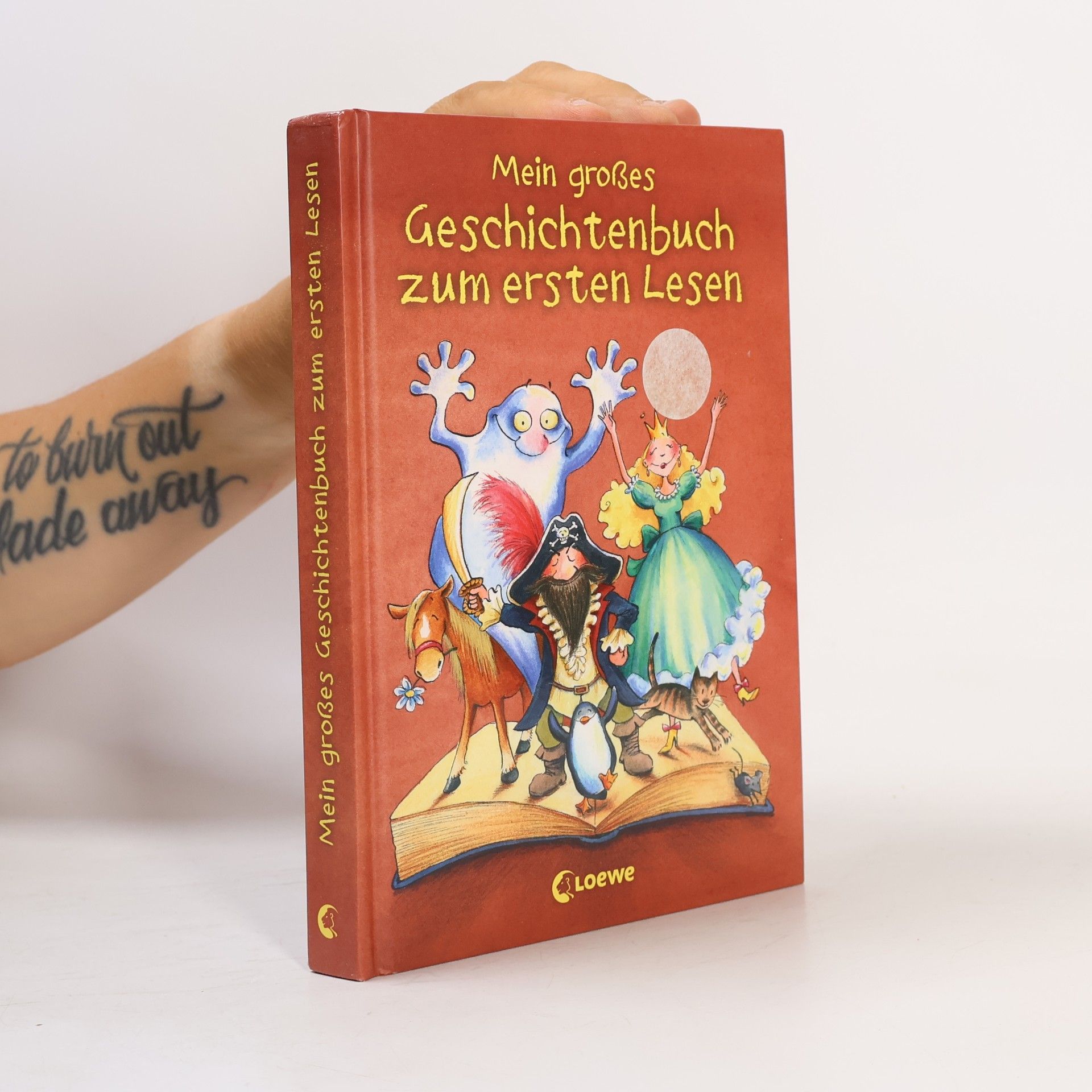 Autores varios Mein großes Geschichtenbuch zum ersten Lesen