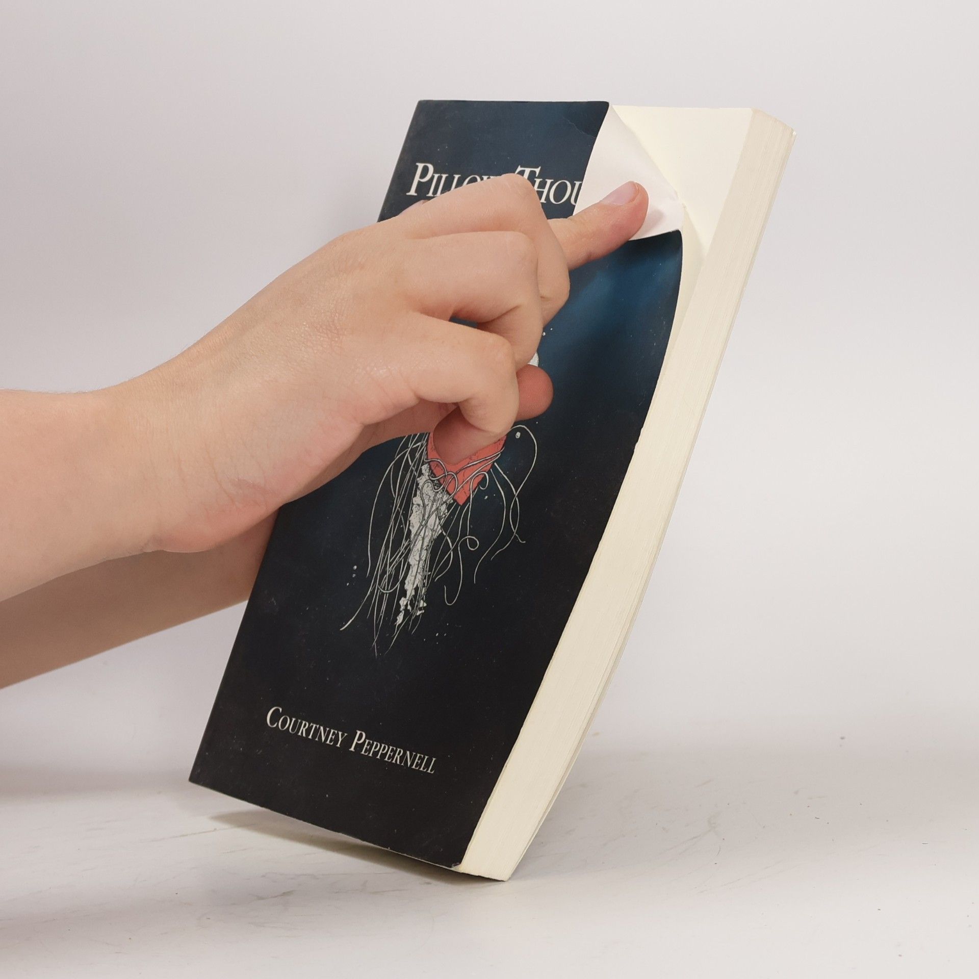 Courtney Peppernell Pillow Thoughts II : Healing the Heart