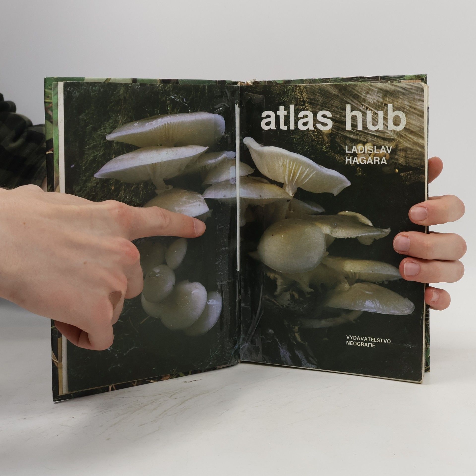 Ladislav Hagara Atlas hub