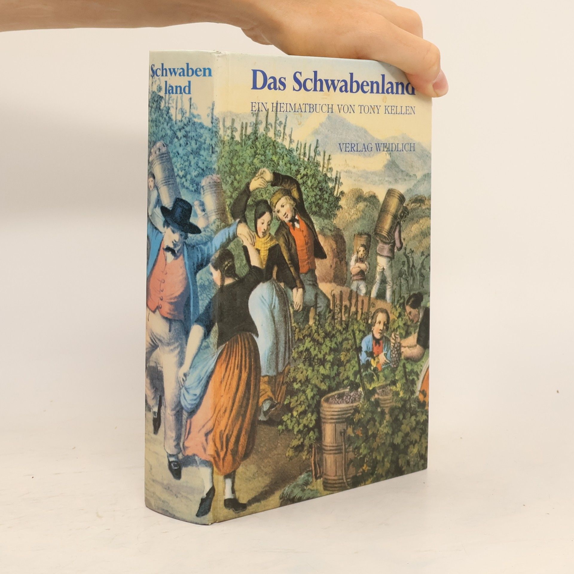 Das Schwabenland ein Heimatbuch für Württemberg und Hohenzollern