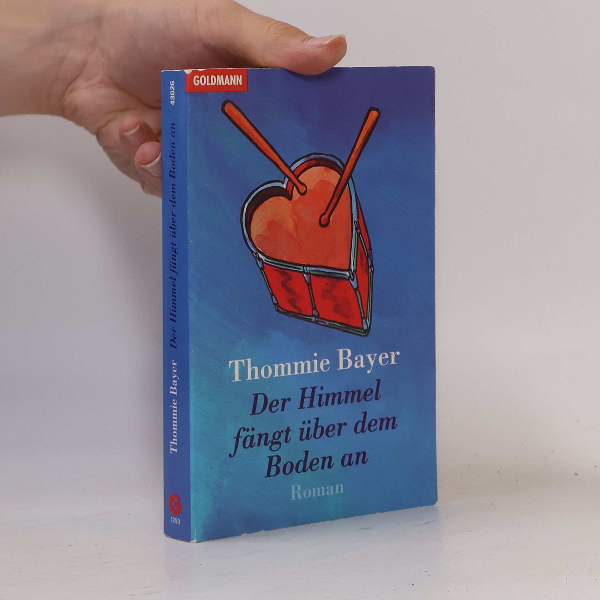 Thommie Bayer Der Himmel fängt über dem Boden an
