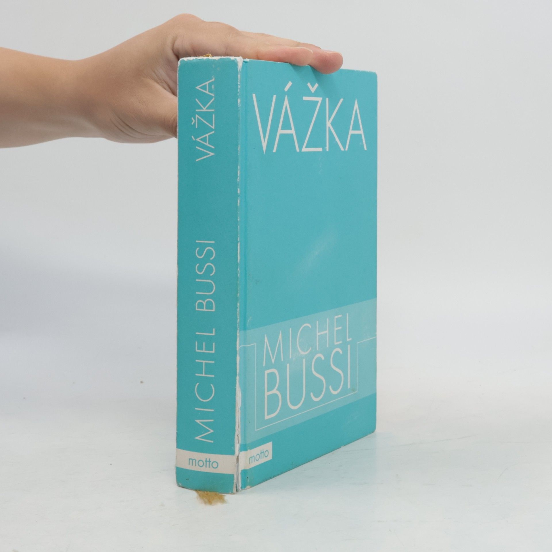 Michel Bussi Vážka