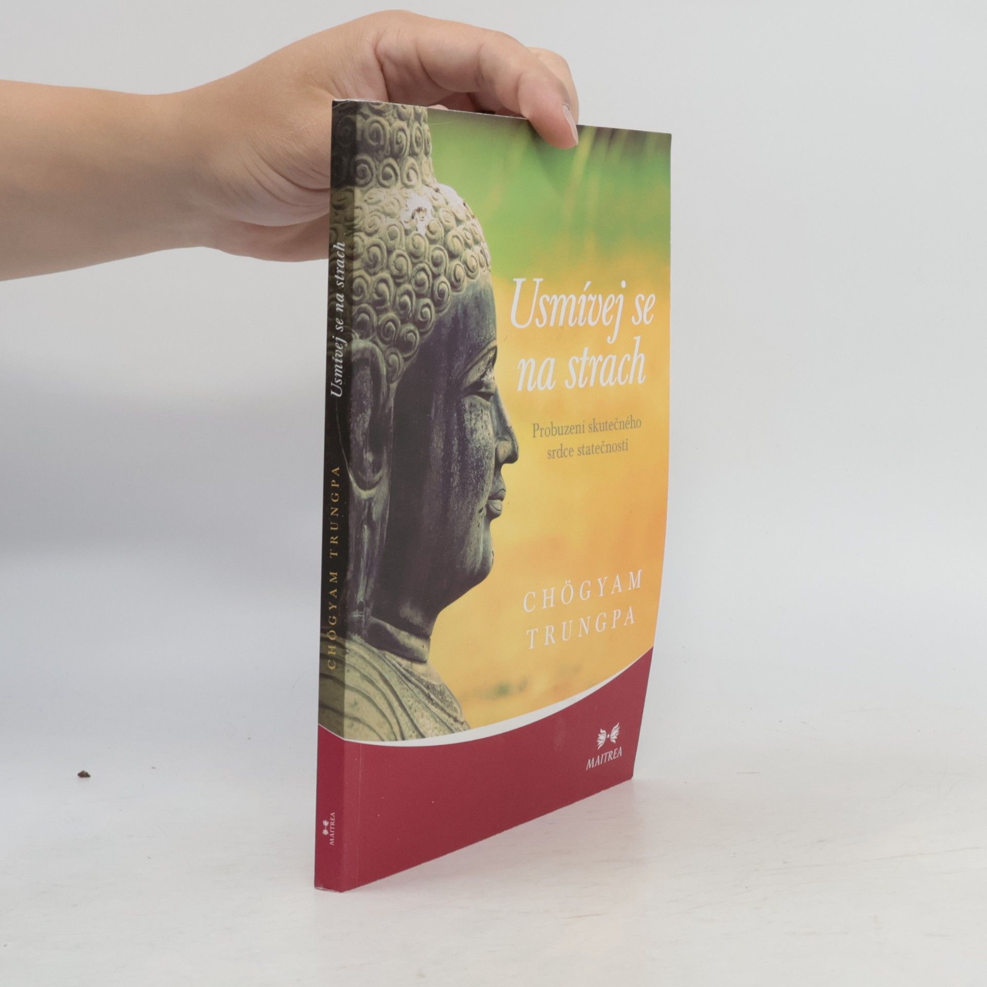 Chögyam Trungpa Usmívej se na strach. Probuzení skutečného srdce statečnosti