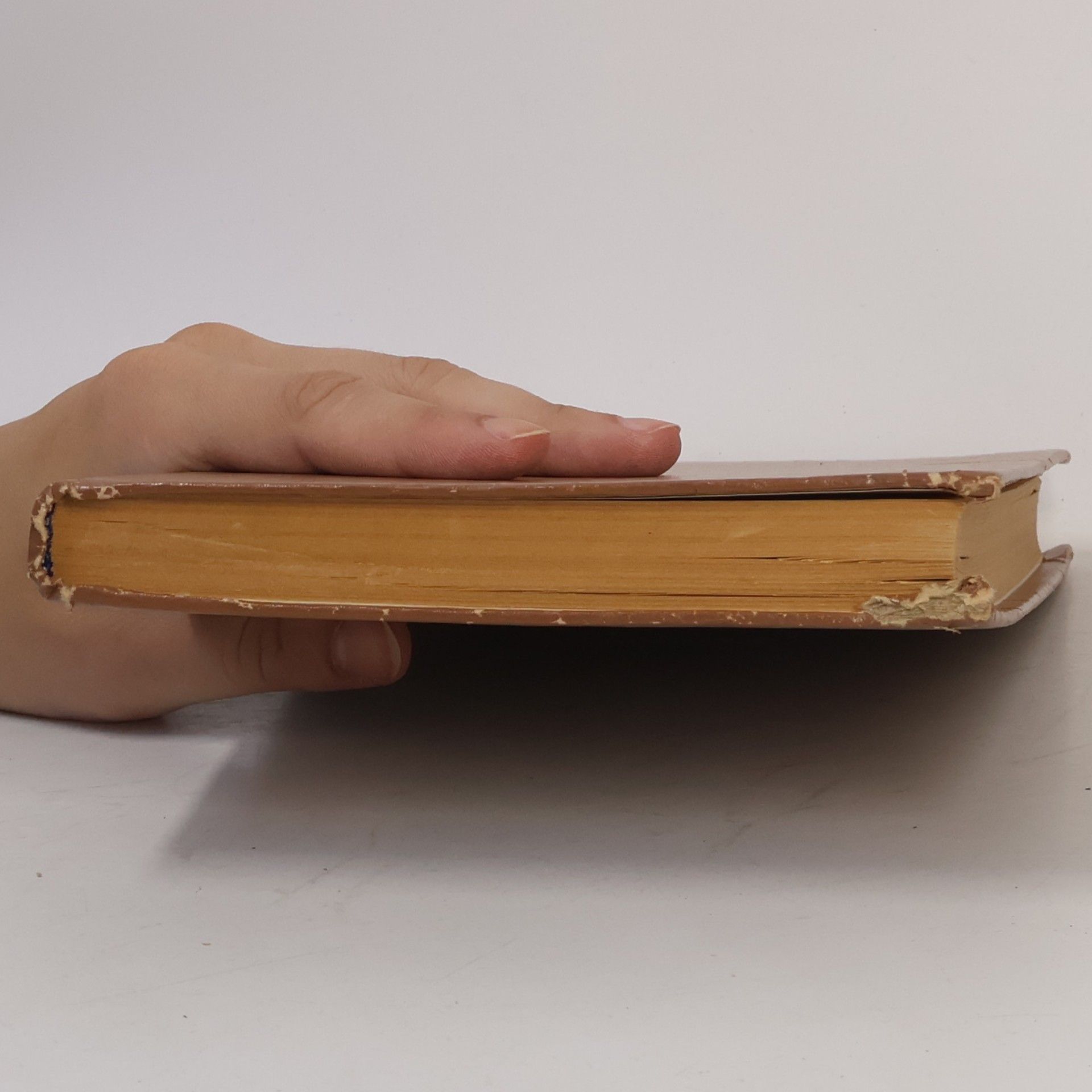 Kolektiv autorů Немецкий язык