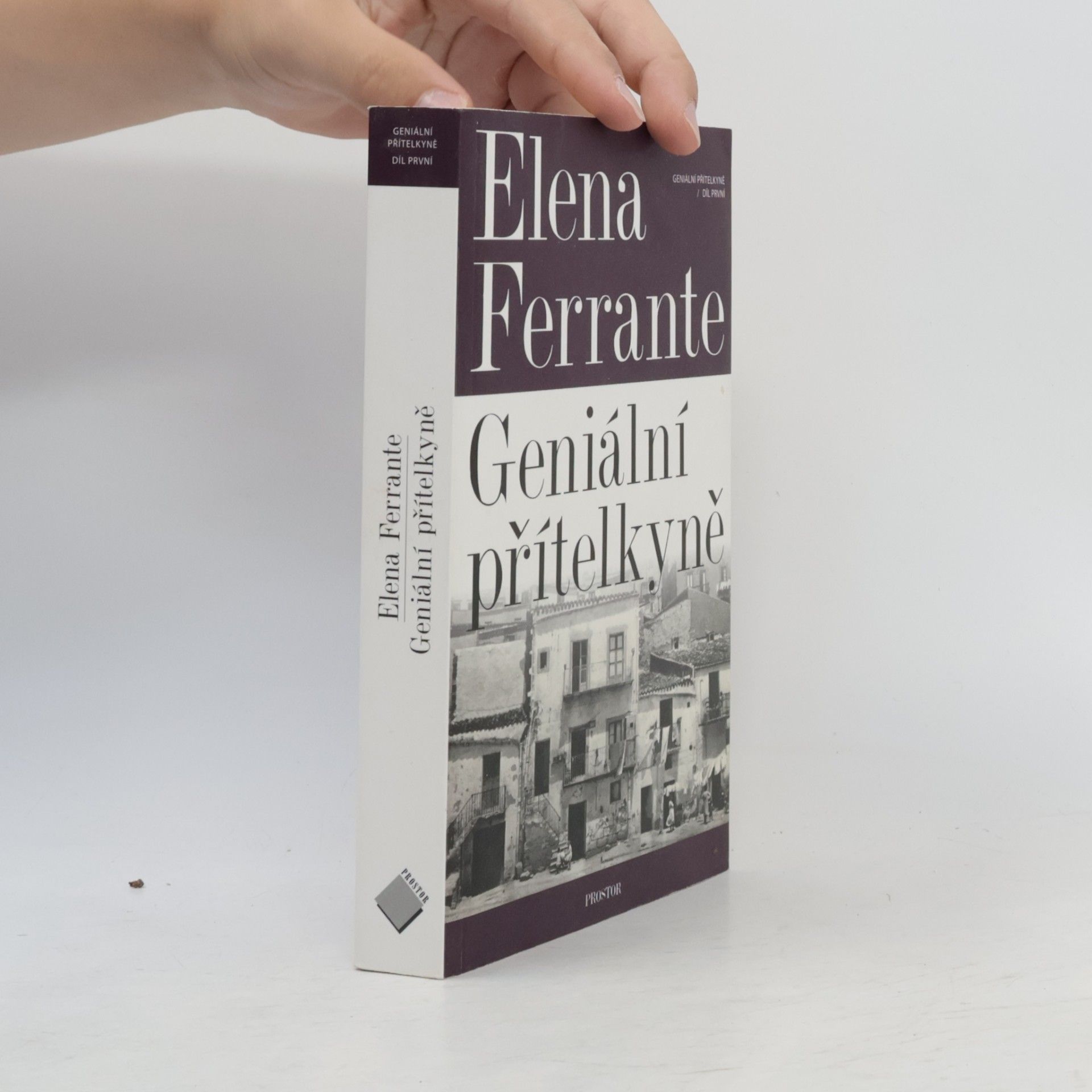 Elena Ferrante Geniální přítelkyně 1. Dětství a dospívání