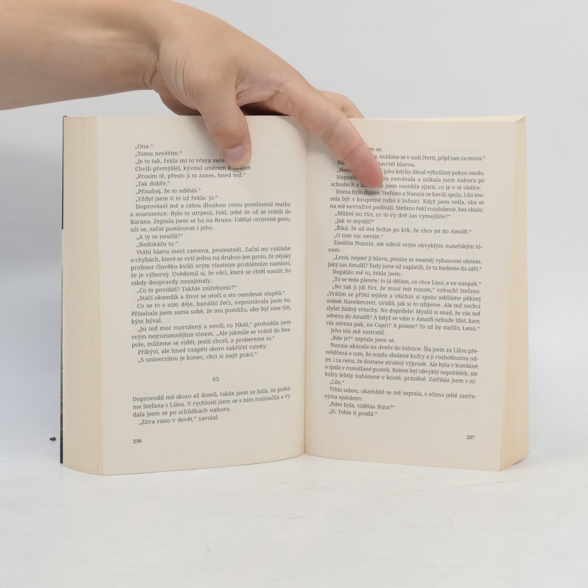 Elena Ferrante Geniální přítelkyně 2. Příběh nového jména