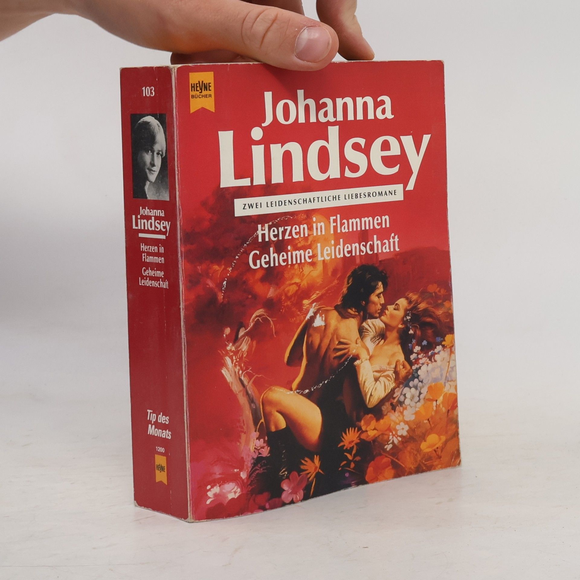 Johanna Lindsey Herzen in Flammen. Geheime Leidenschaft. Zwei leidenschaftliche Liebesromane