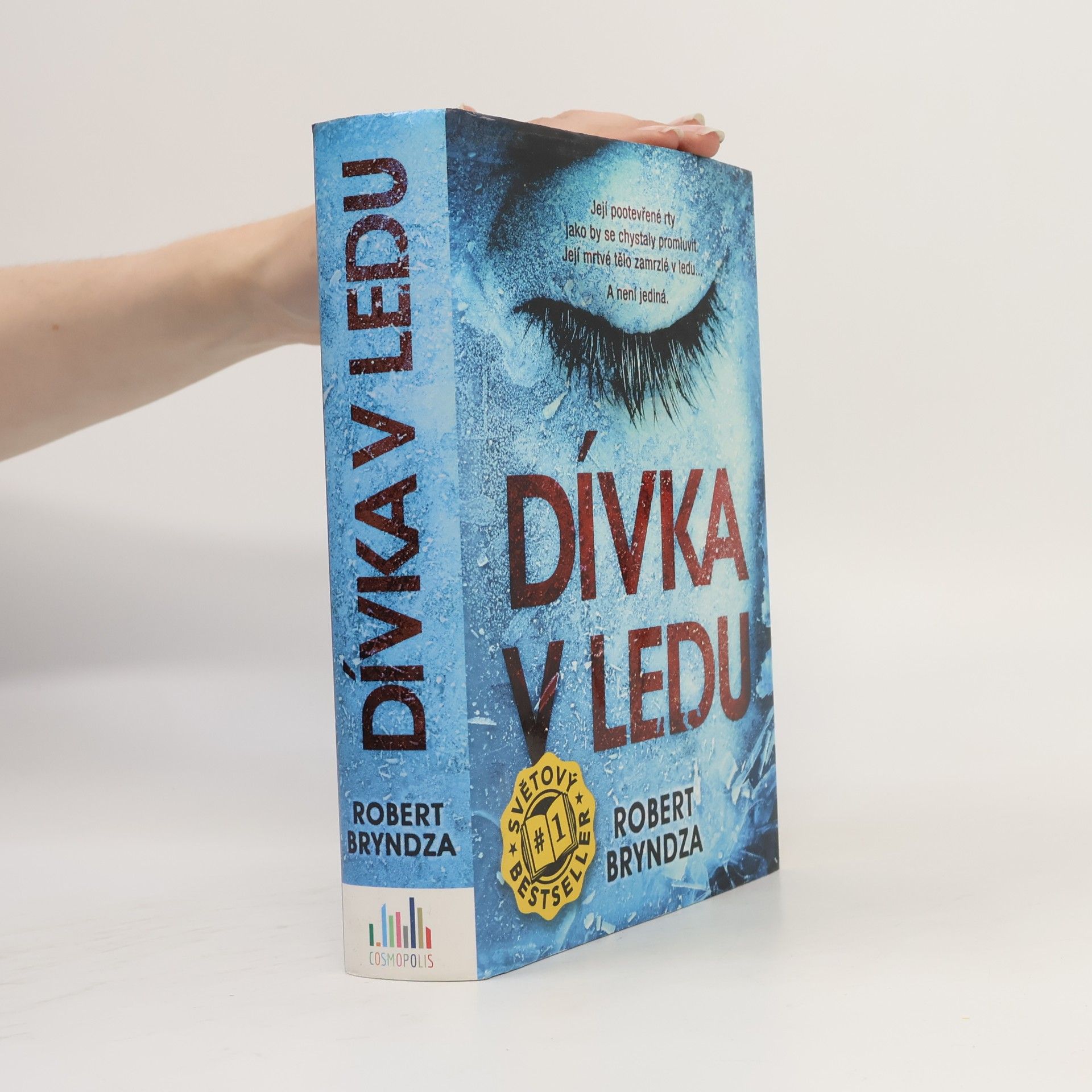 Robert Bryndza Dívka v ledu