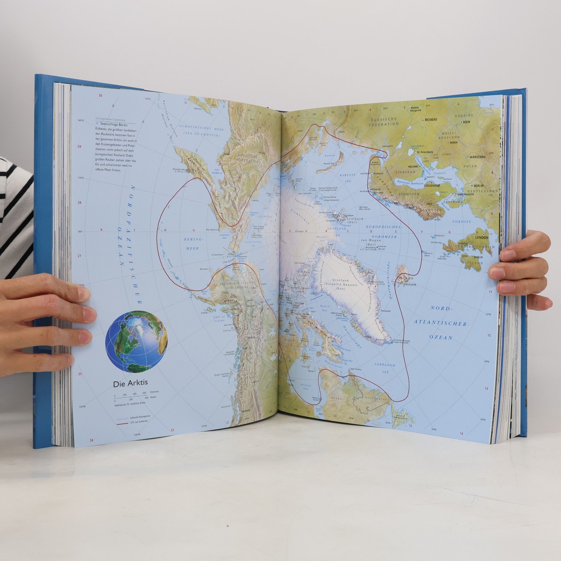 David McGonigal Die Welt der Antarktis und der Arktis