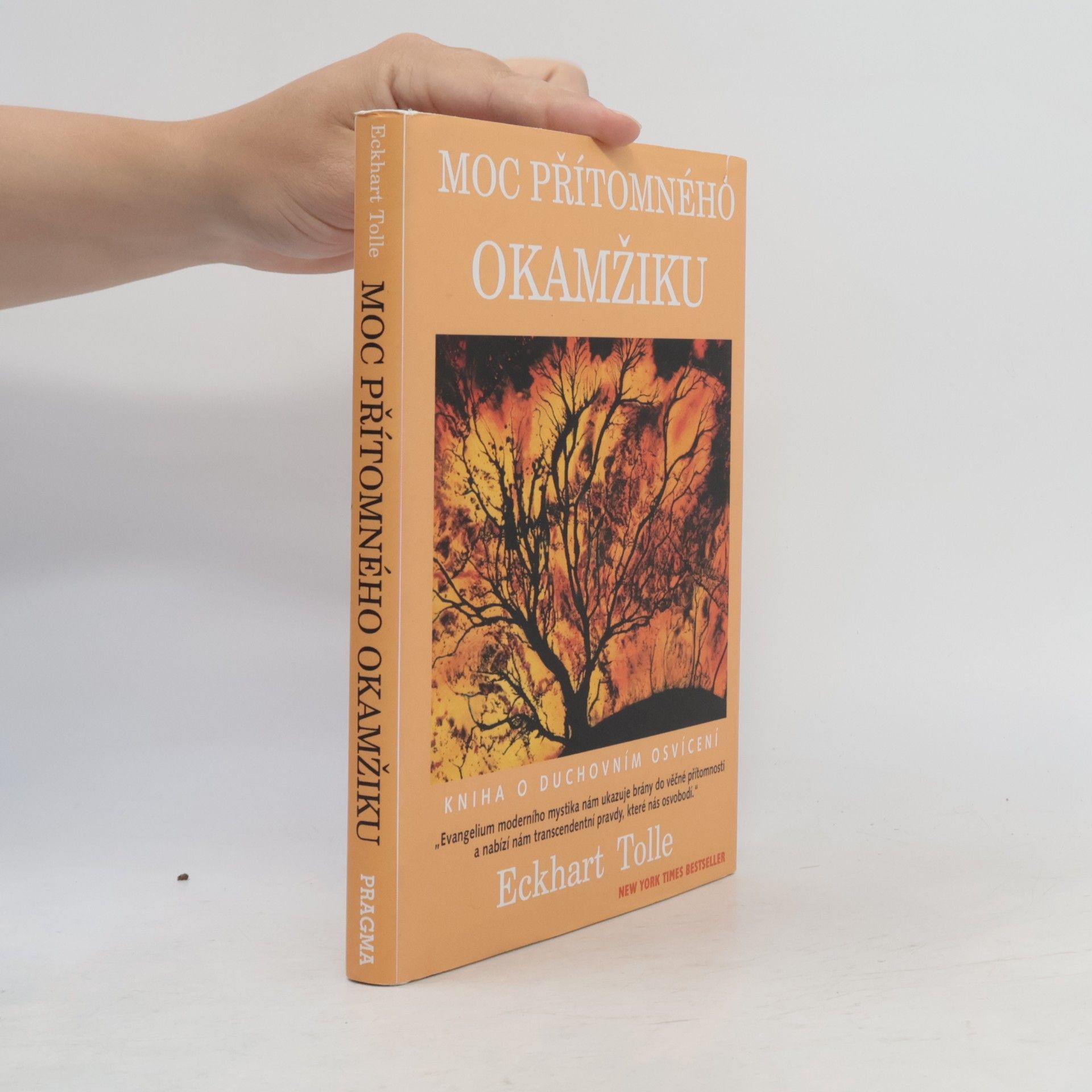 Eckhart Tolle Moc přítomného okamžiku