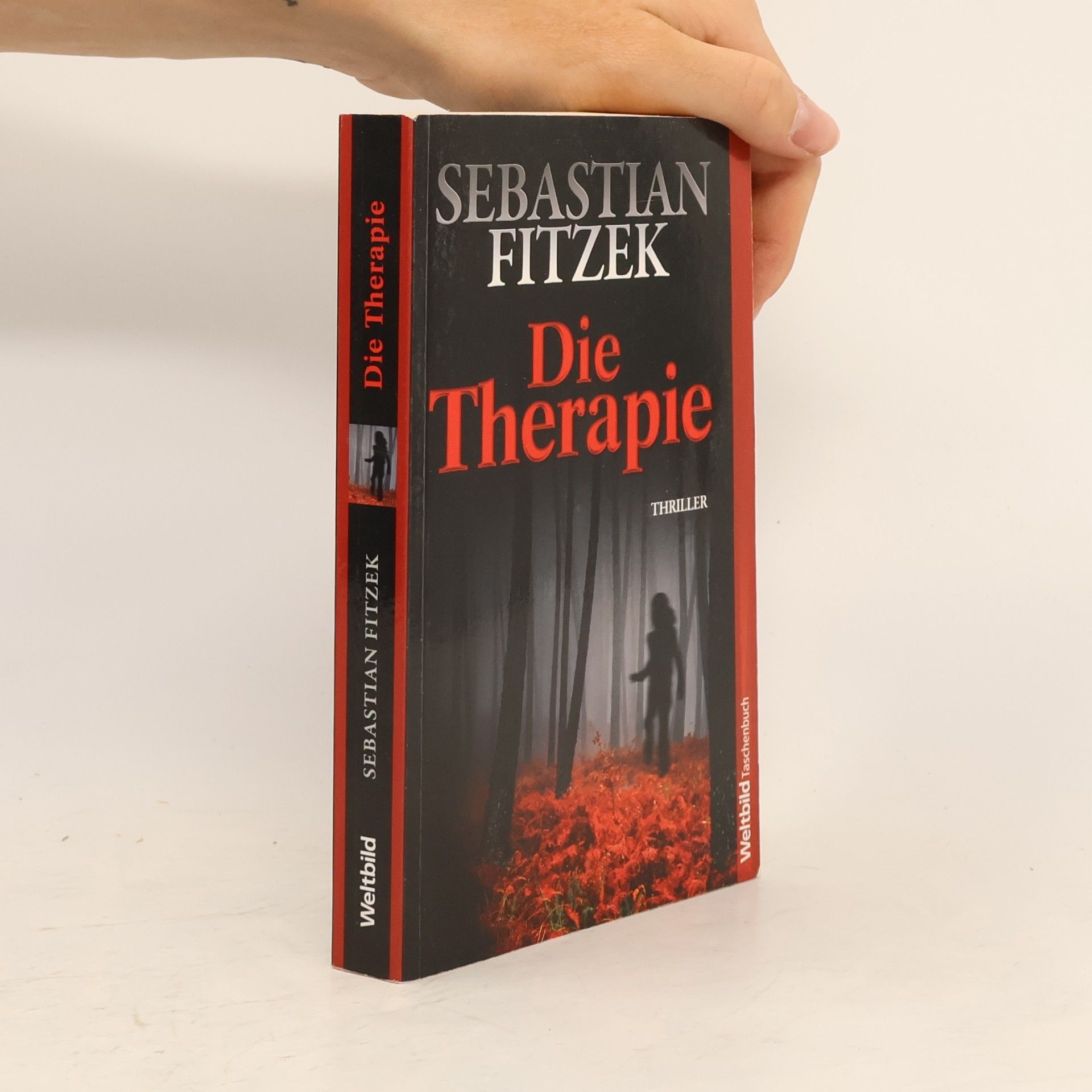 Sebastian Fitzek Die Therapie
