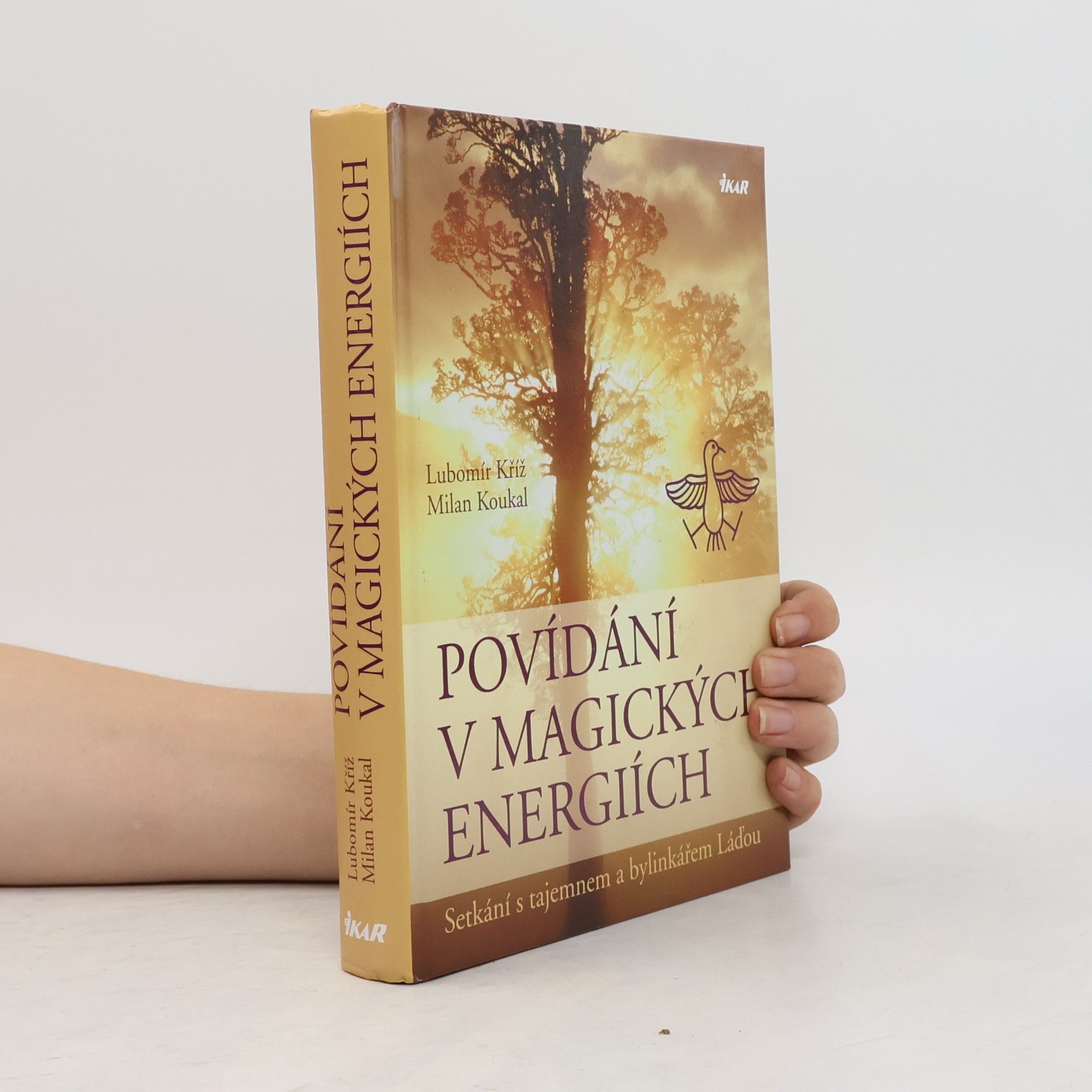Lubomír Kříž Povídání v magických energiích