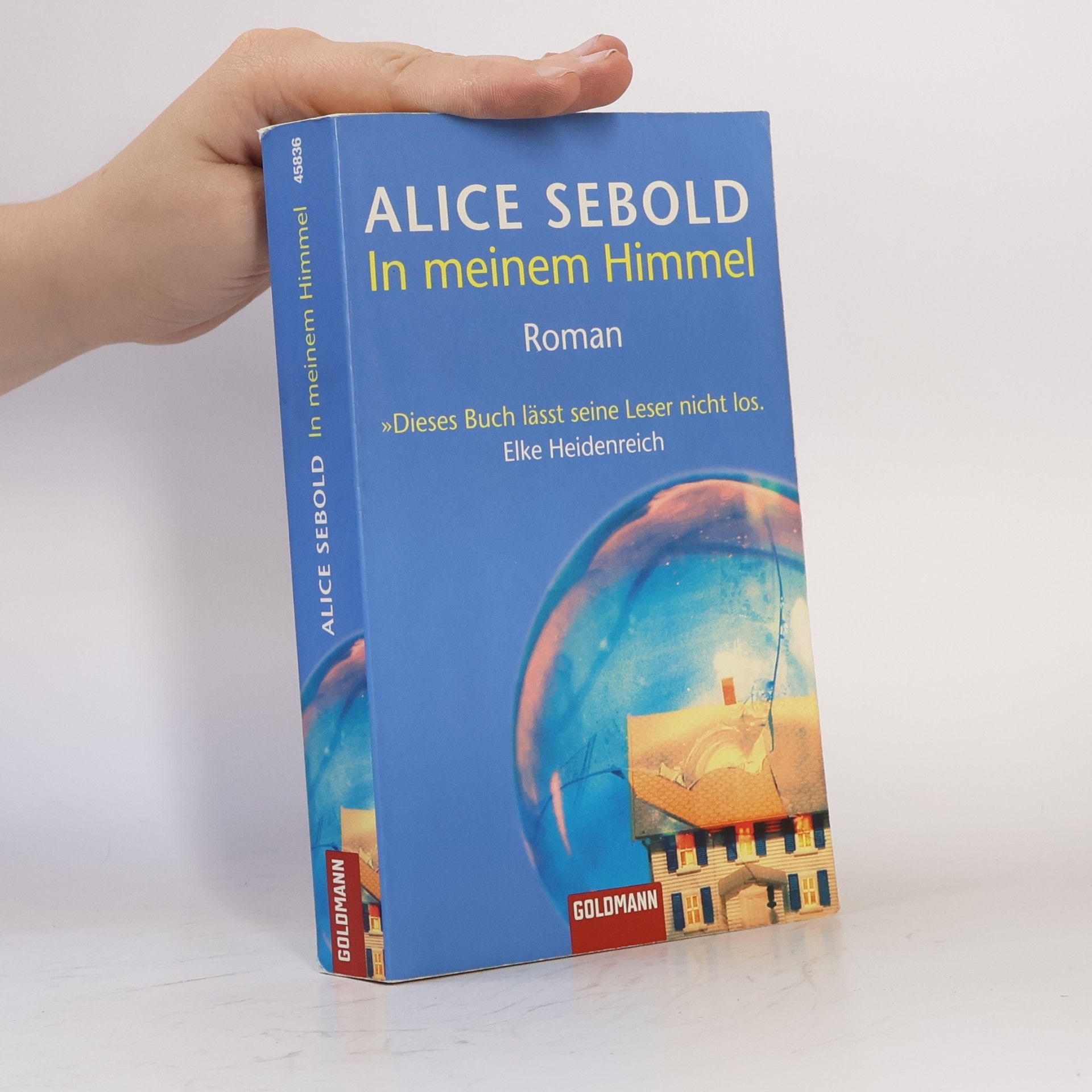 Alice Sebold In meinem Himmel
