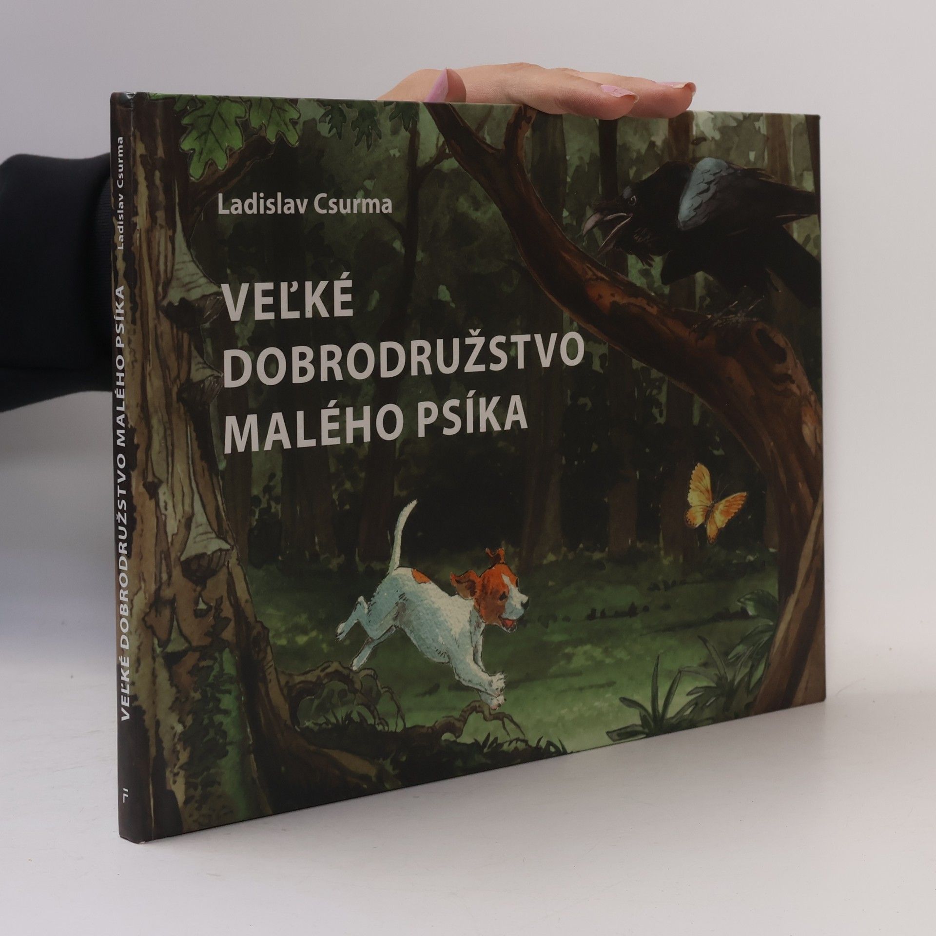 Ladislav Csurma Veľké dobrodružstvo malého psíka