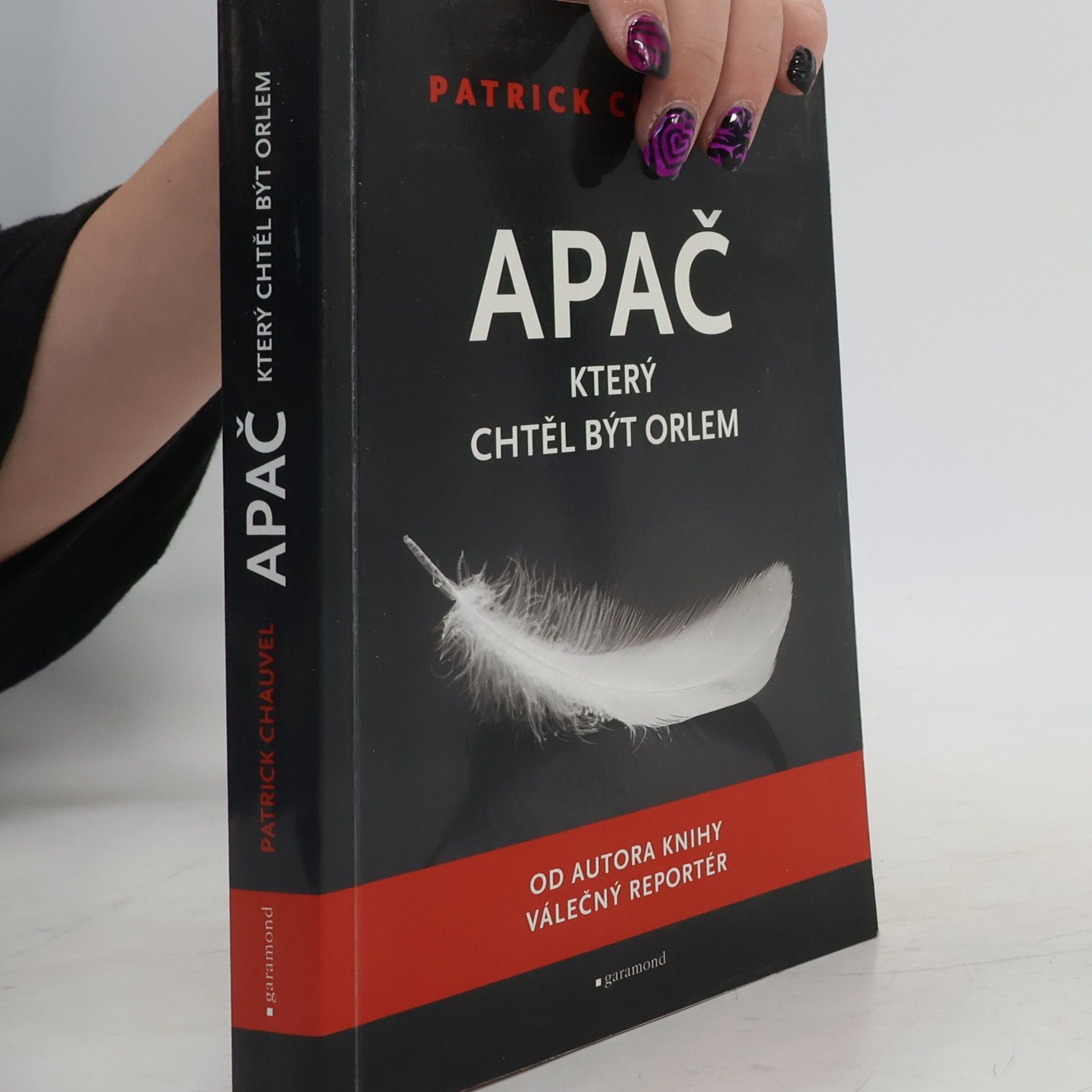 Patrick Chauvel Apač, který chtěl být orlem