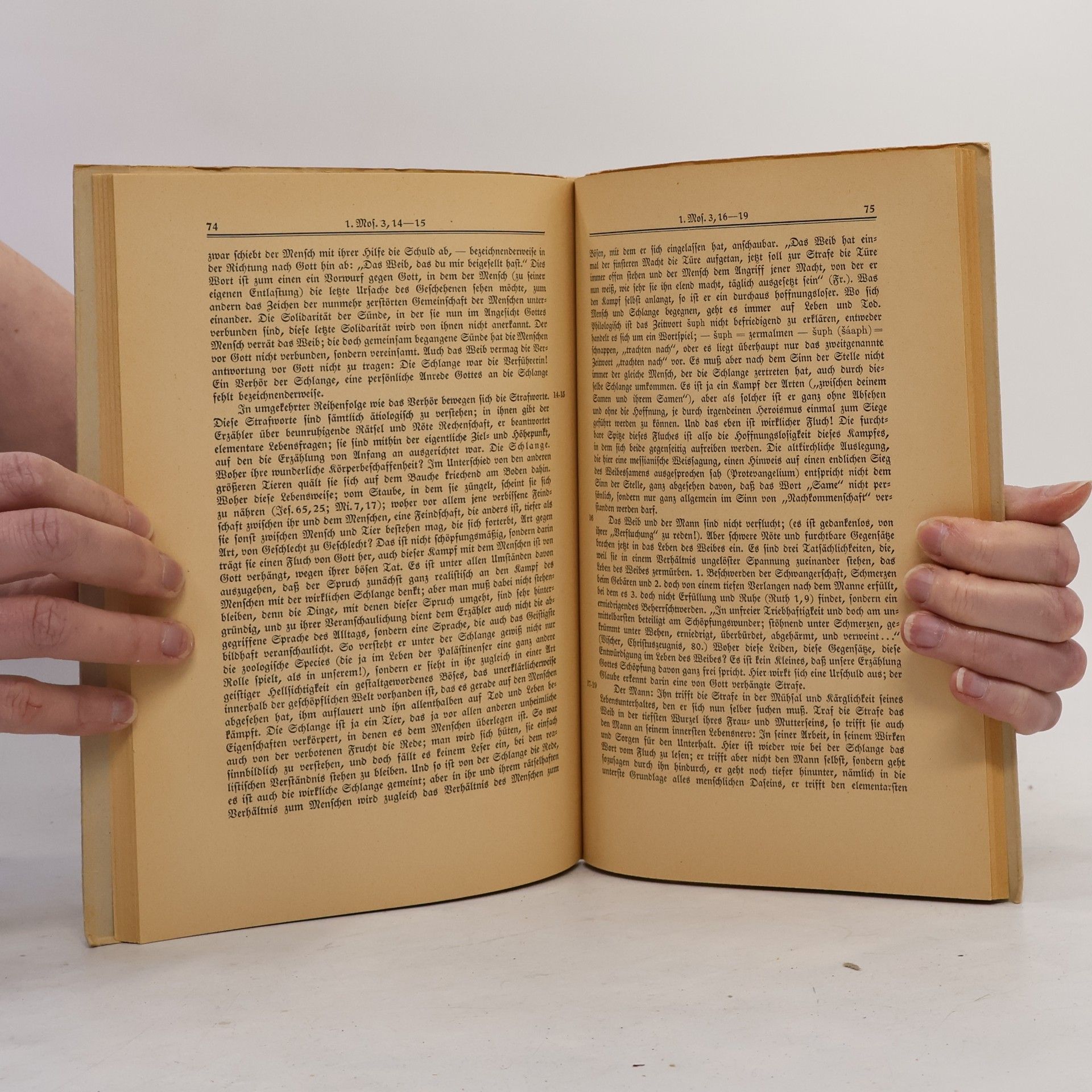 Gerhard von Rad Das Alte Testament Deutsch 2