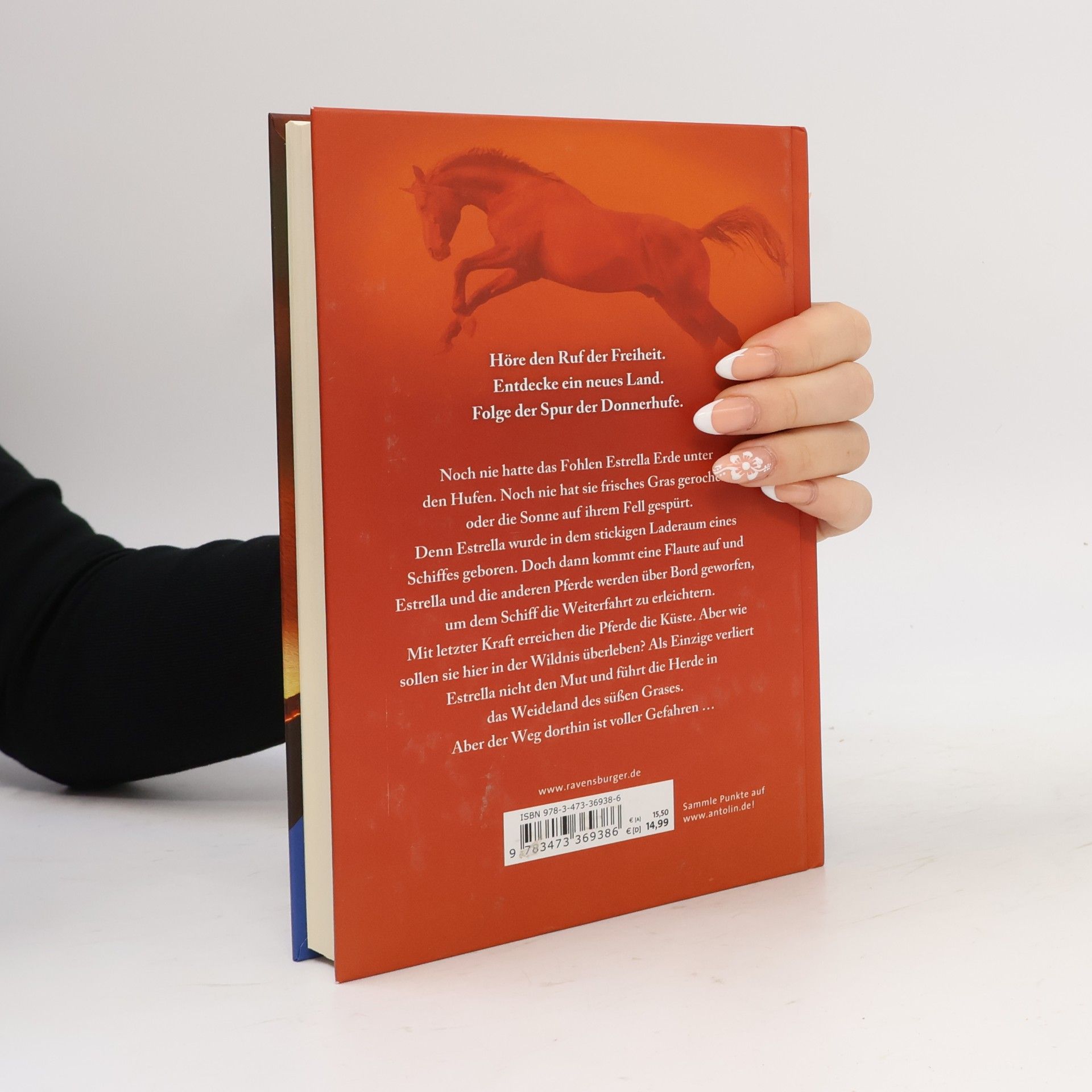 Kathryn Lasky Die Spur der Donnerhufe. Band 1: Flammenschlucht.