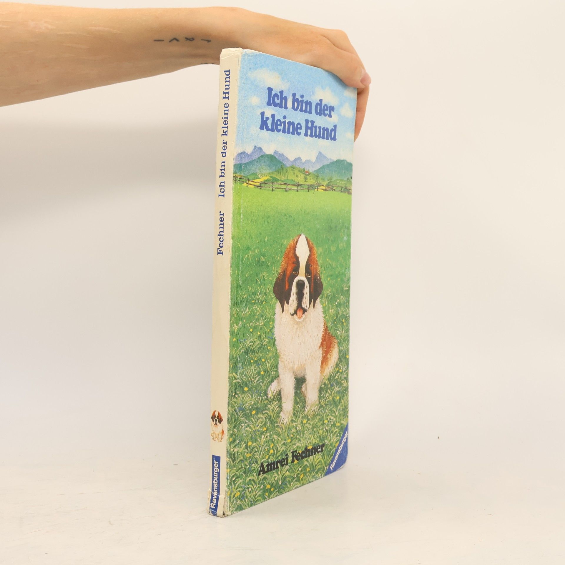 Amrei Fechner Ich bin der kleine Hund
