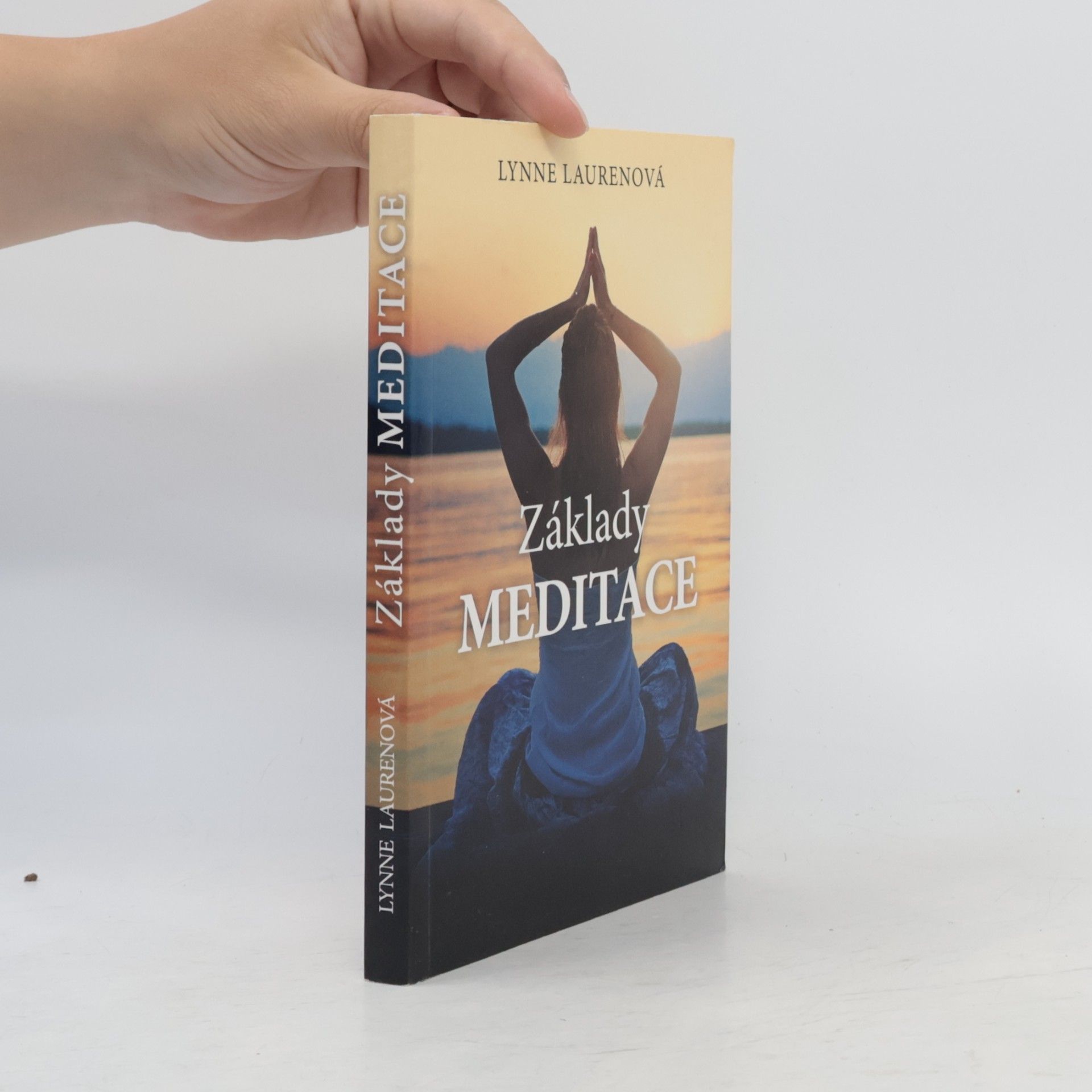 Lynne Lauren Základy meditace