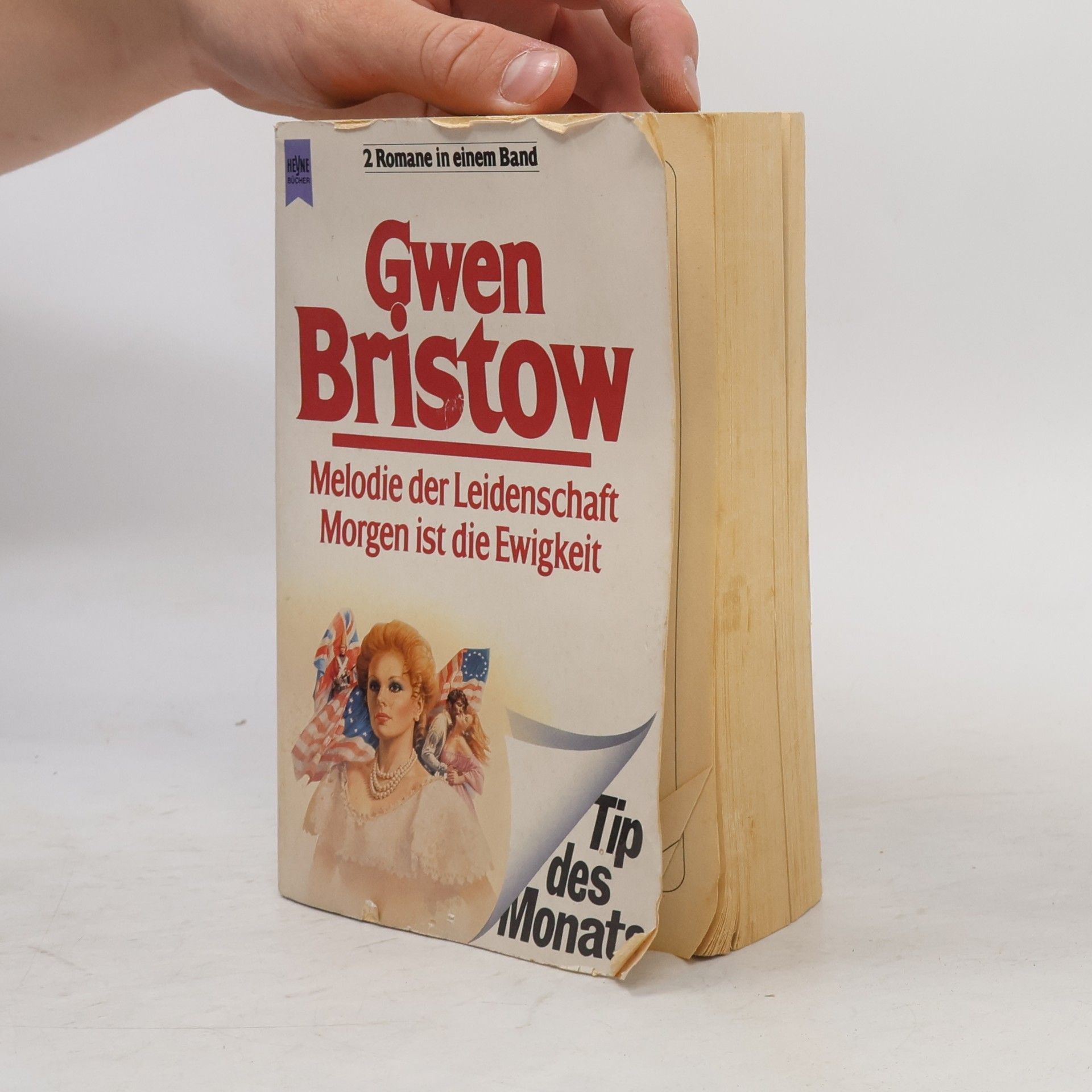 Gwen Bristow Melodie der Leidenschaft