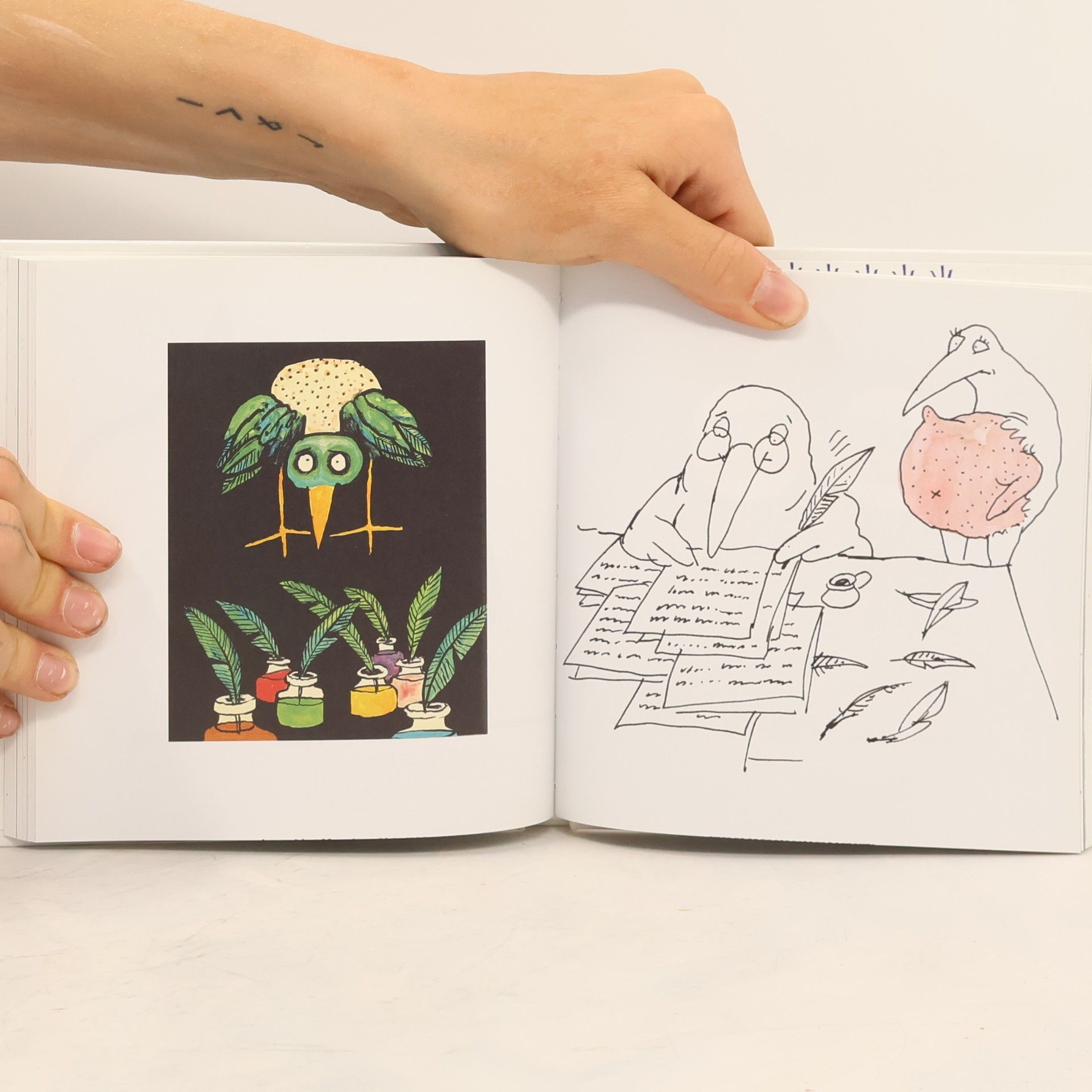 Tomi Ungerer Vögel