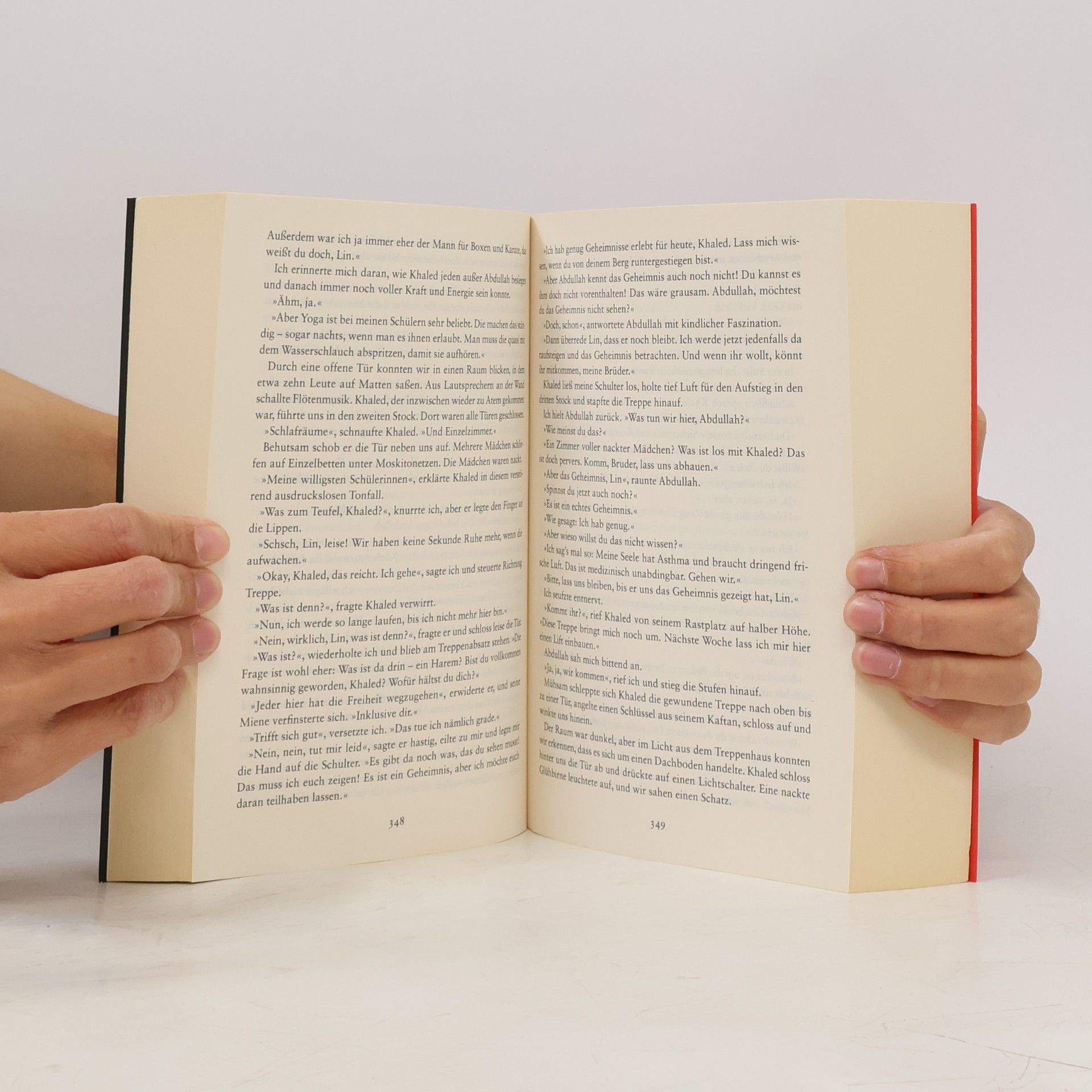 Gregory David Roberts Im Schatten des Berges