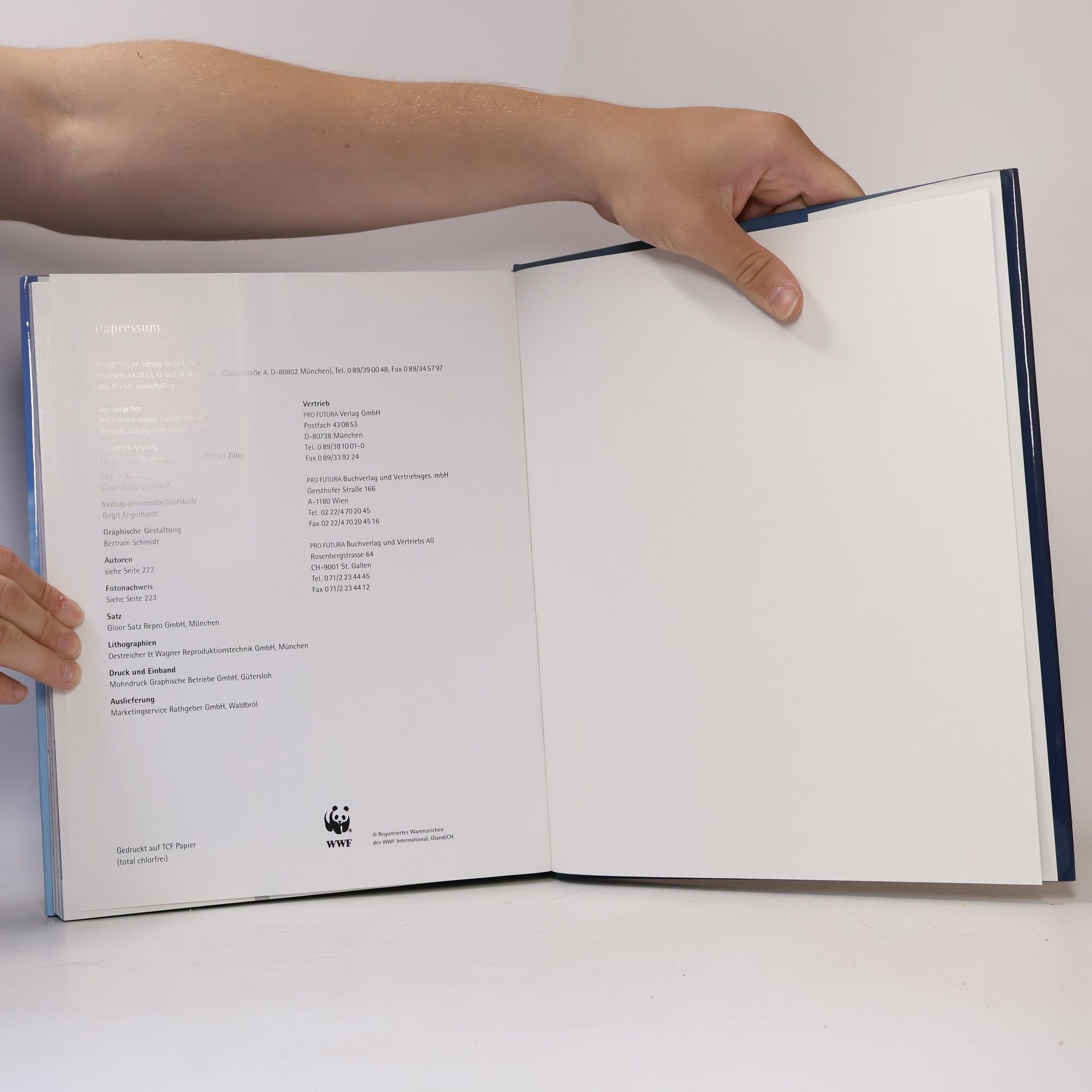 Kolektiv autorů Die Statik der Träume