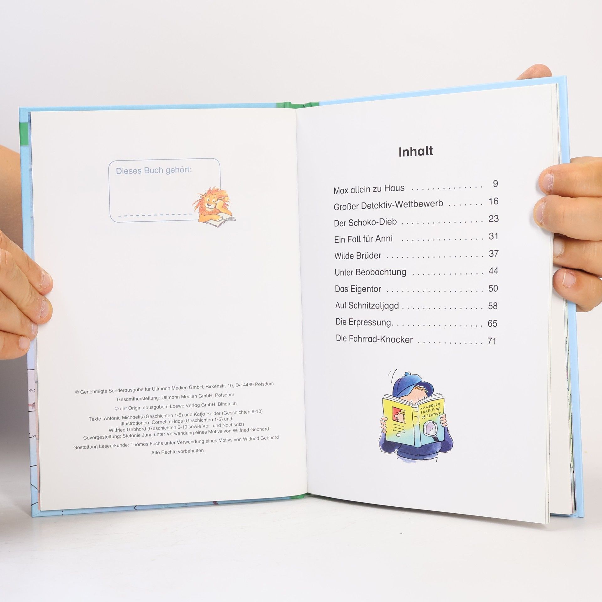 Kolektiv autorů Leselöwen. Detektivgeschichten