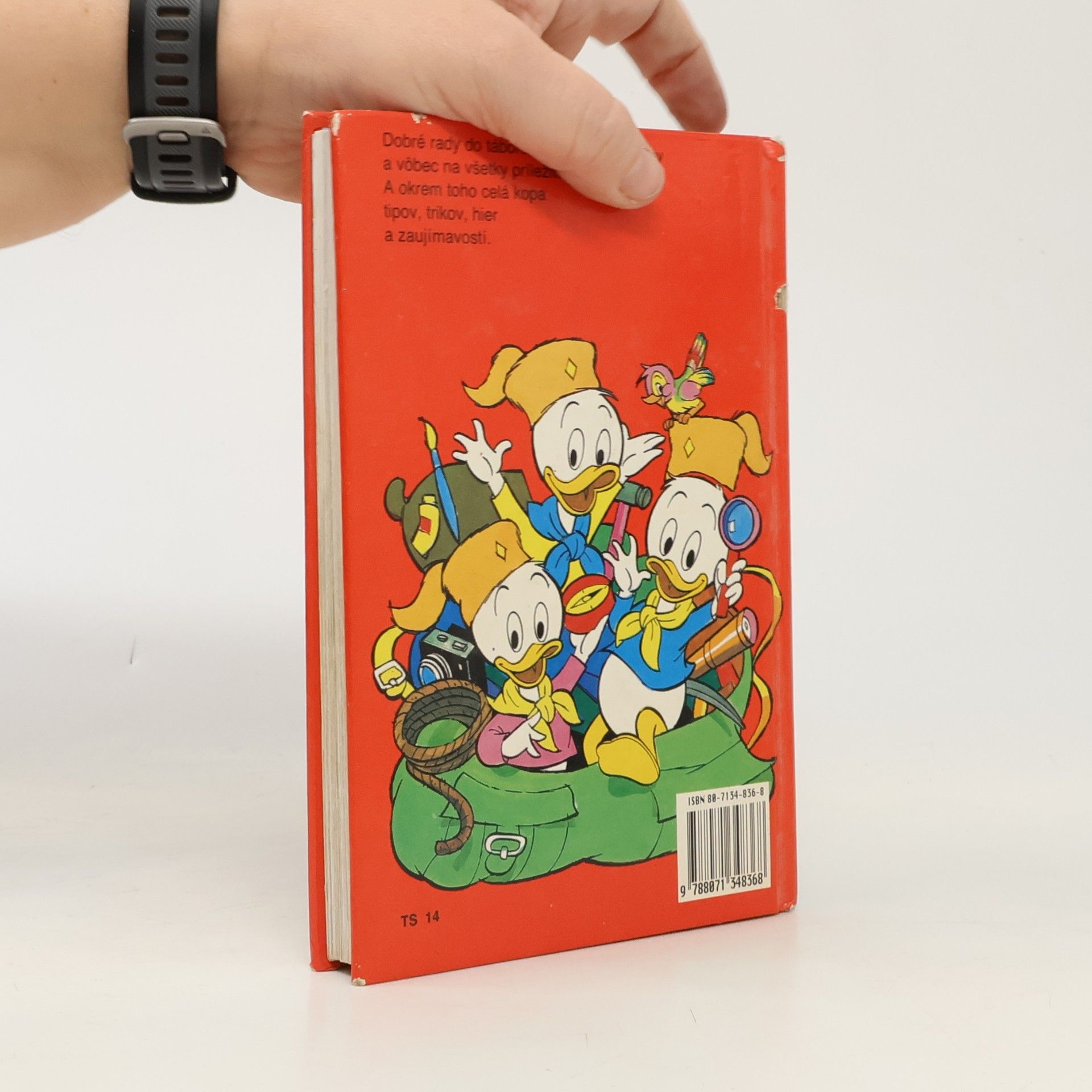 Walt Disney 3. príručka mladých svišťov