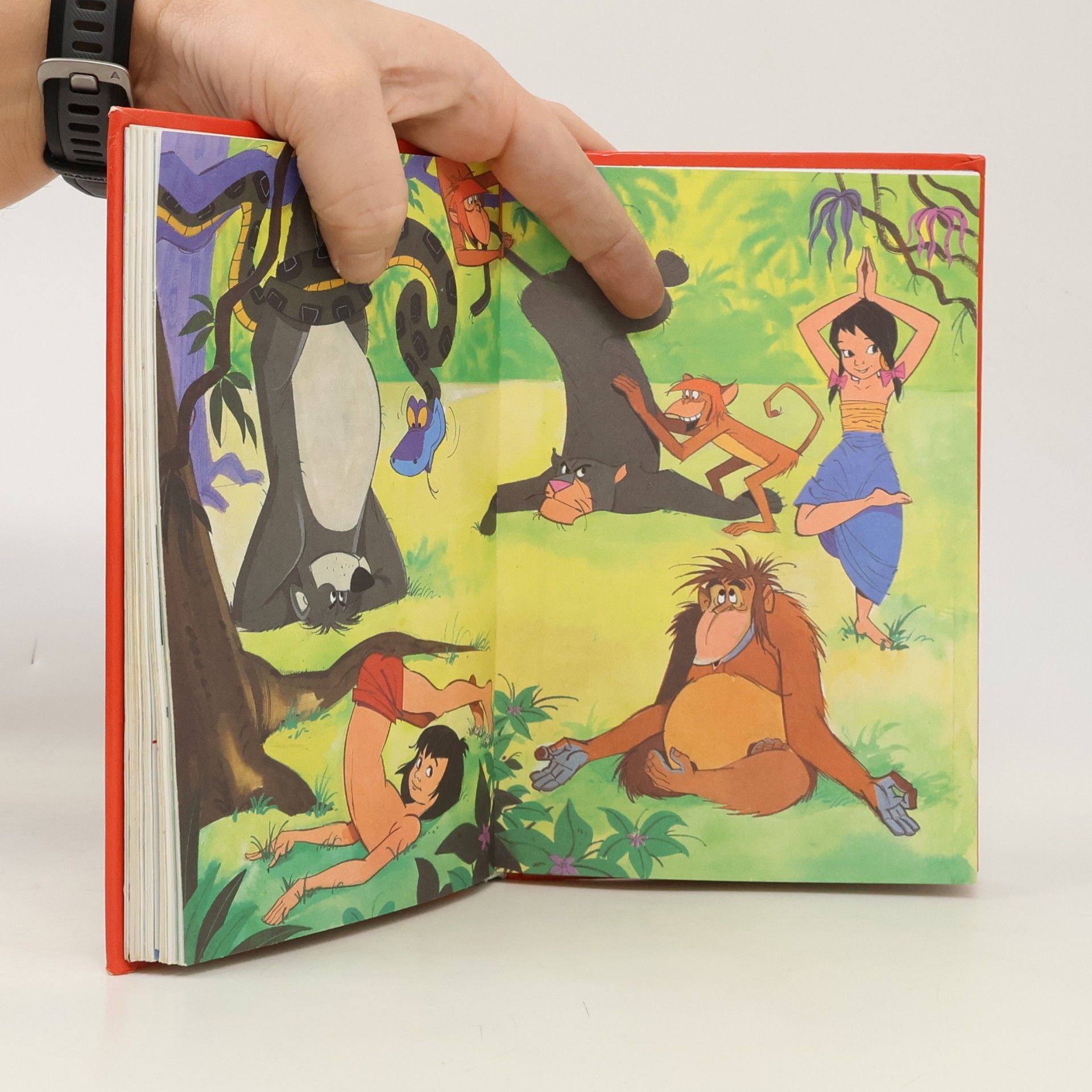 Walt Disney 3. príručka mladých svišťov