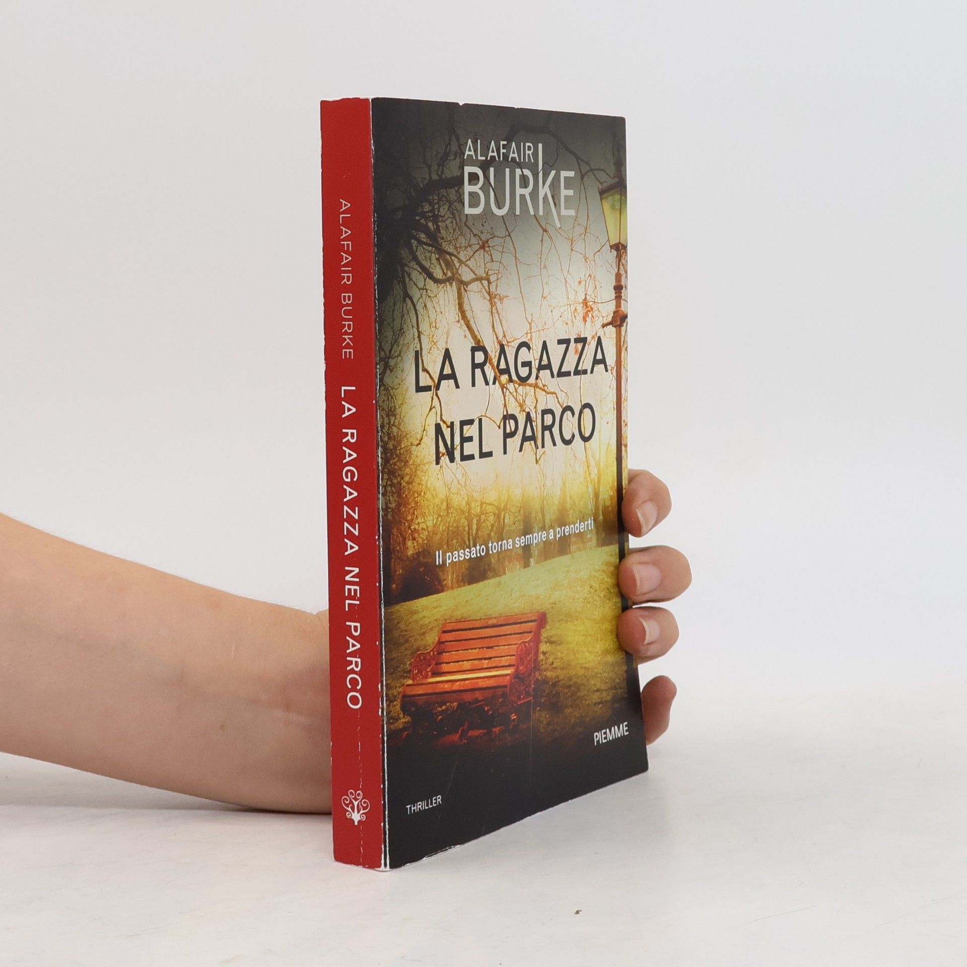 Alafair Burke La ragazza nel parco