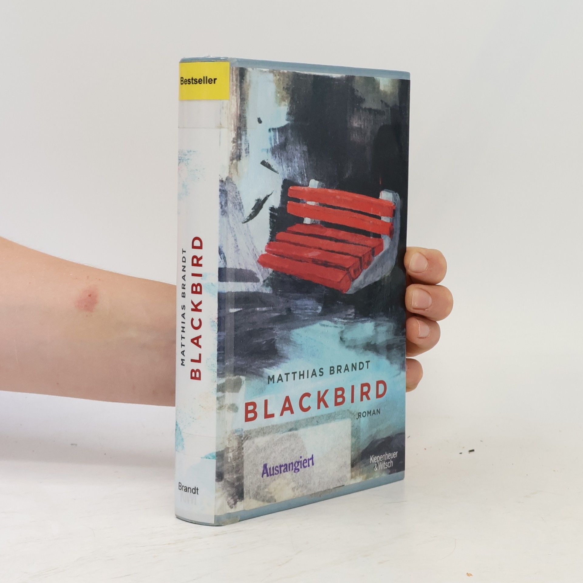Matthias Brandt Blackbird