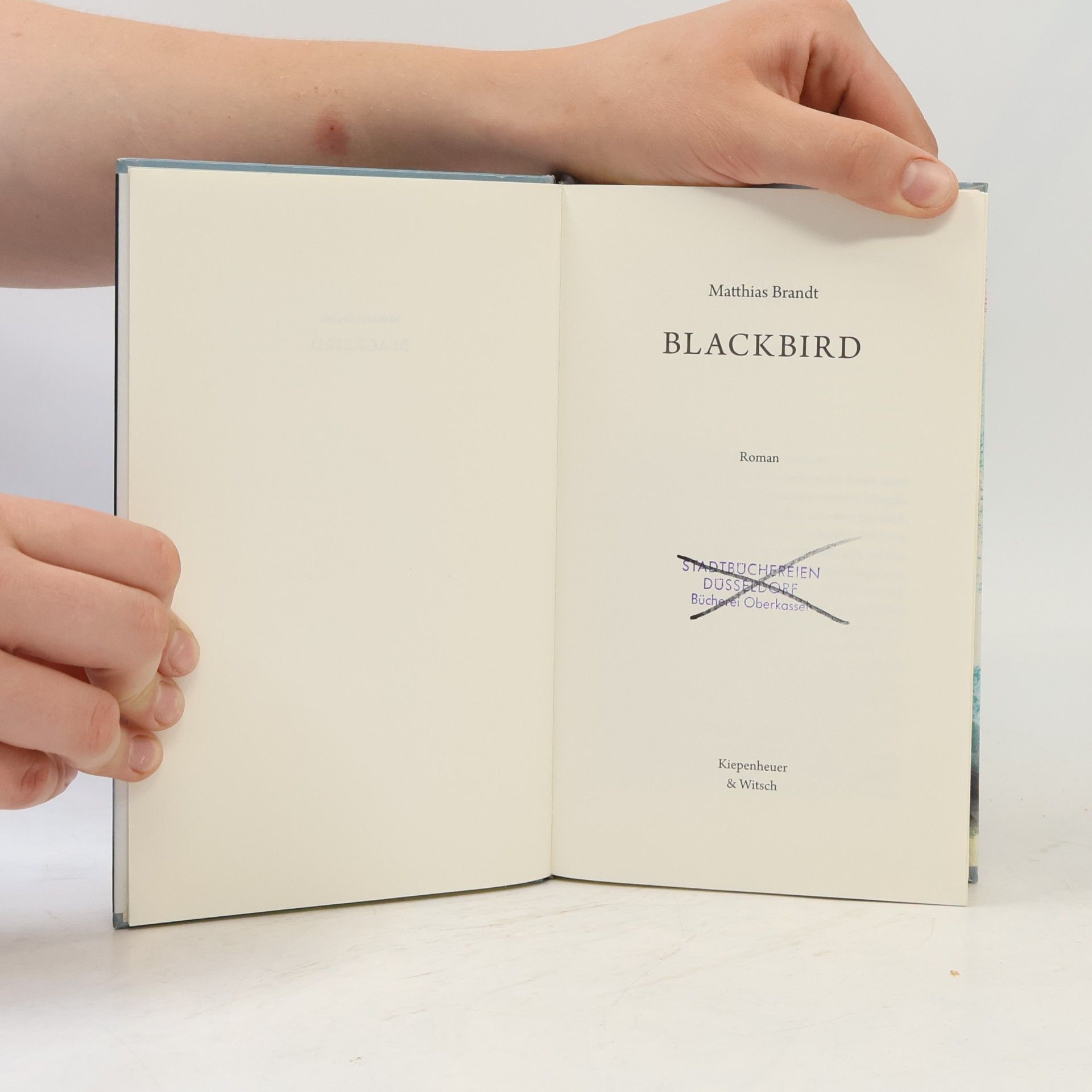 Matthias Brandt Blackbird