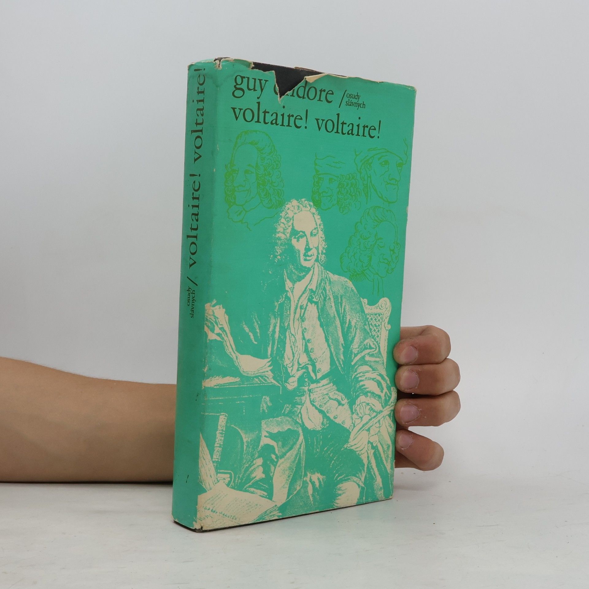 Guy Endore Voltaire! Voltaire!