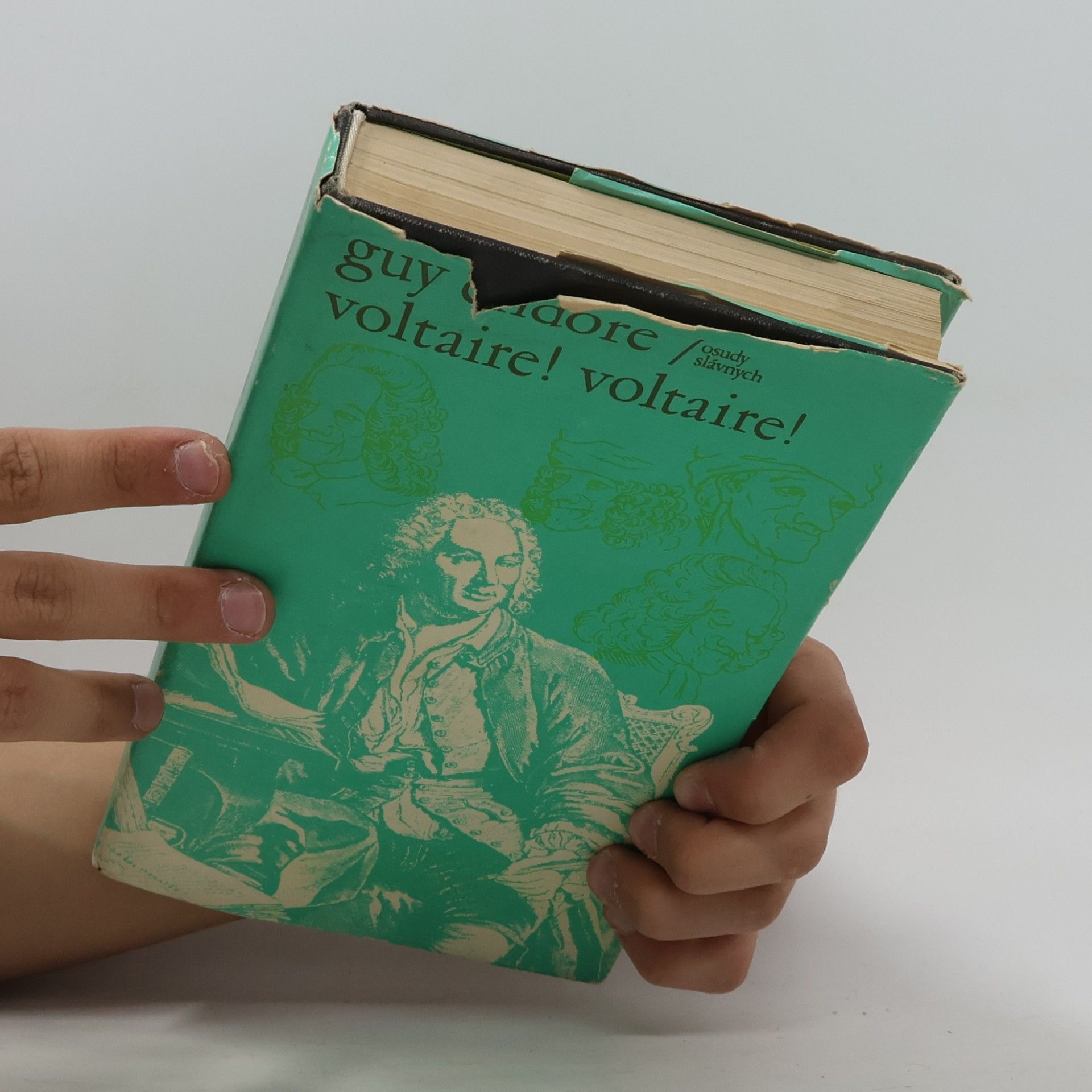 Guy Endore Voltaire! Voltaire!