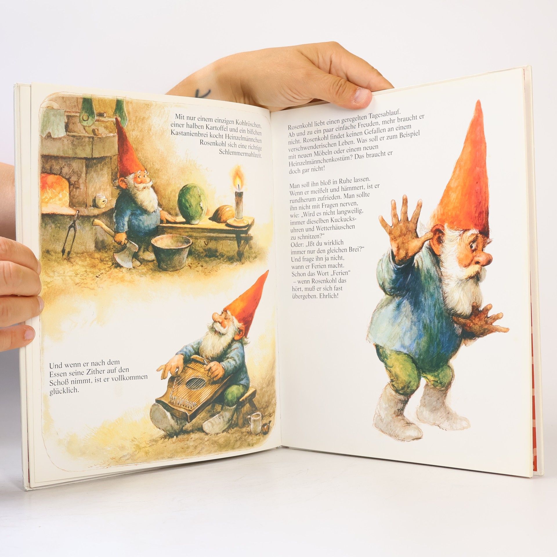 Rien Poortvliet Heinzelmännchens Ferienbuch
