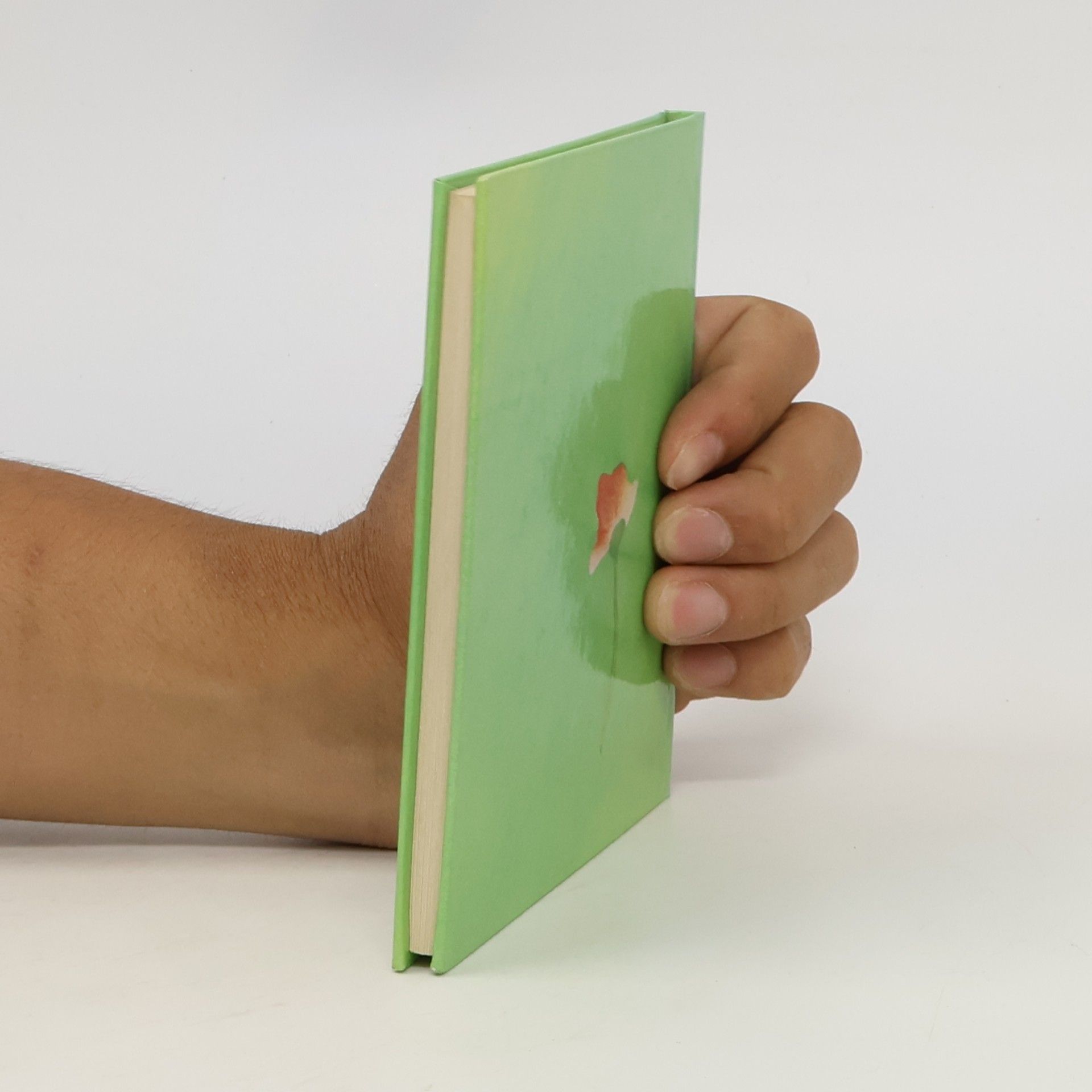 Autorenkollektiv Das kleine Buch zum Geburtstag
