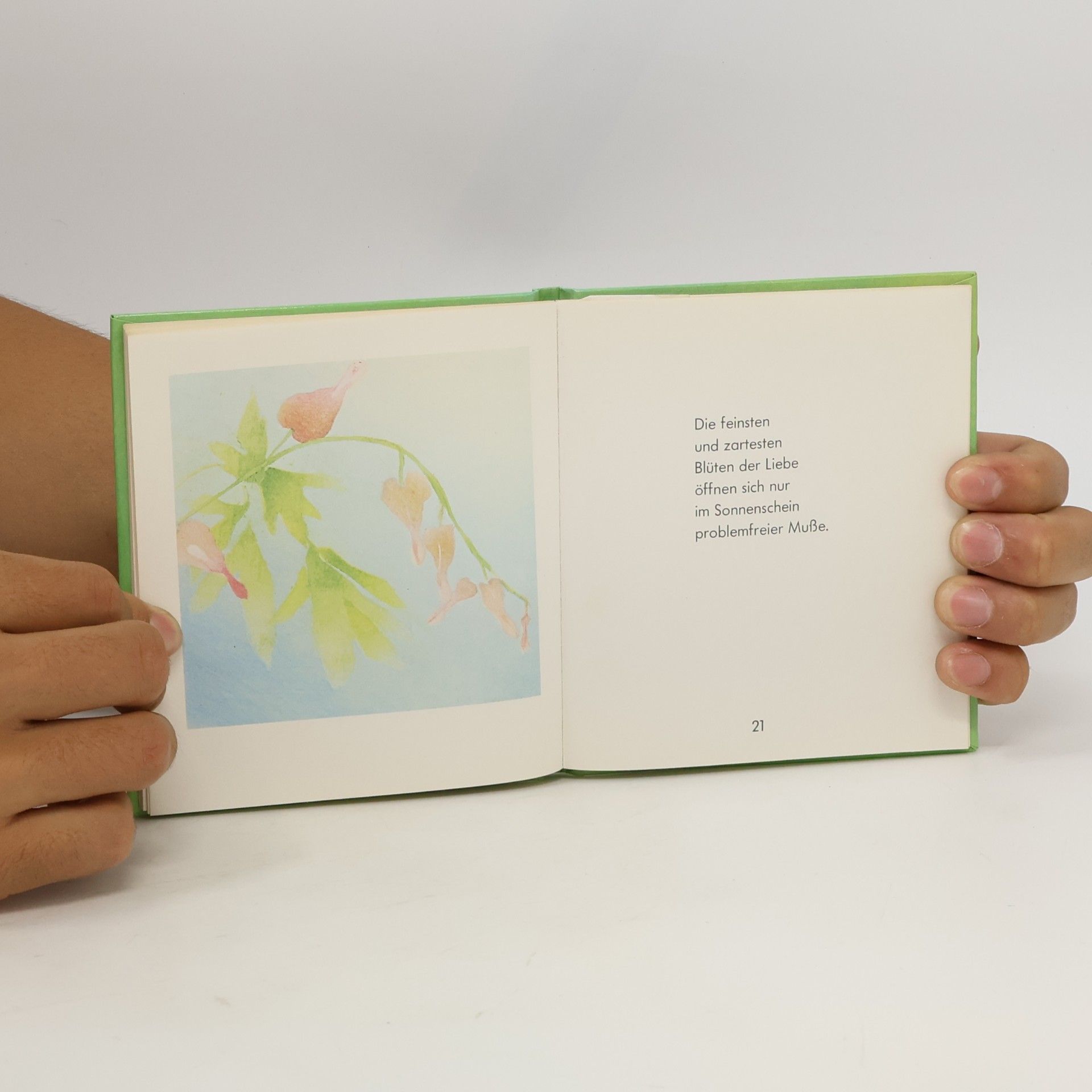 Autorenkollektiv Das kleine Buch zum Geburtstag