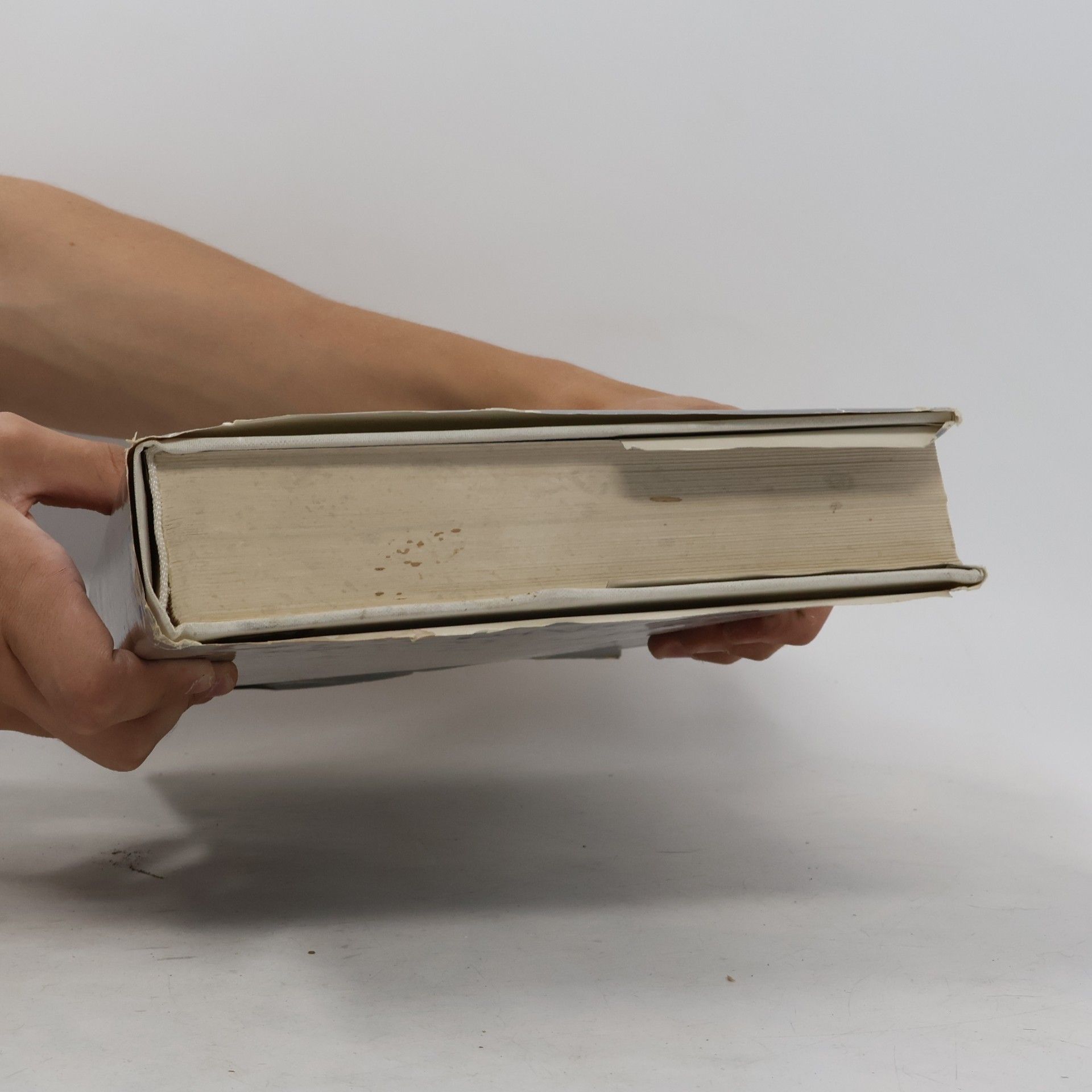 Autorenkollektiv Dejiny slovenského narodného povstania. 5. zväzok