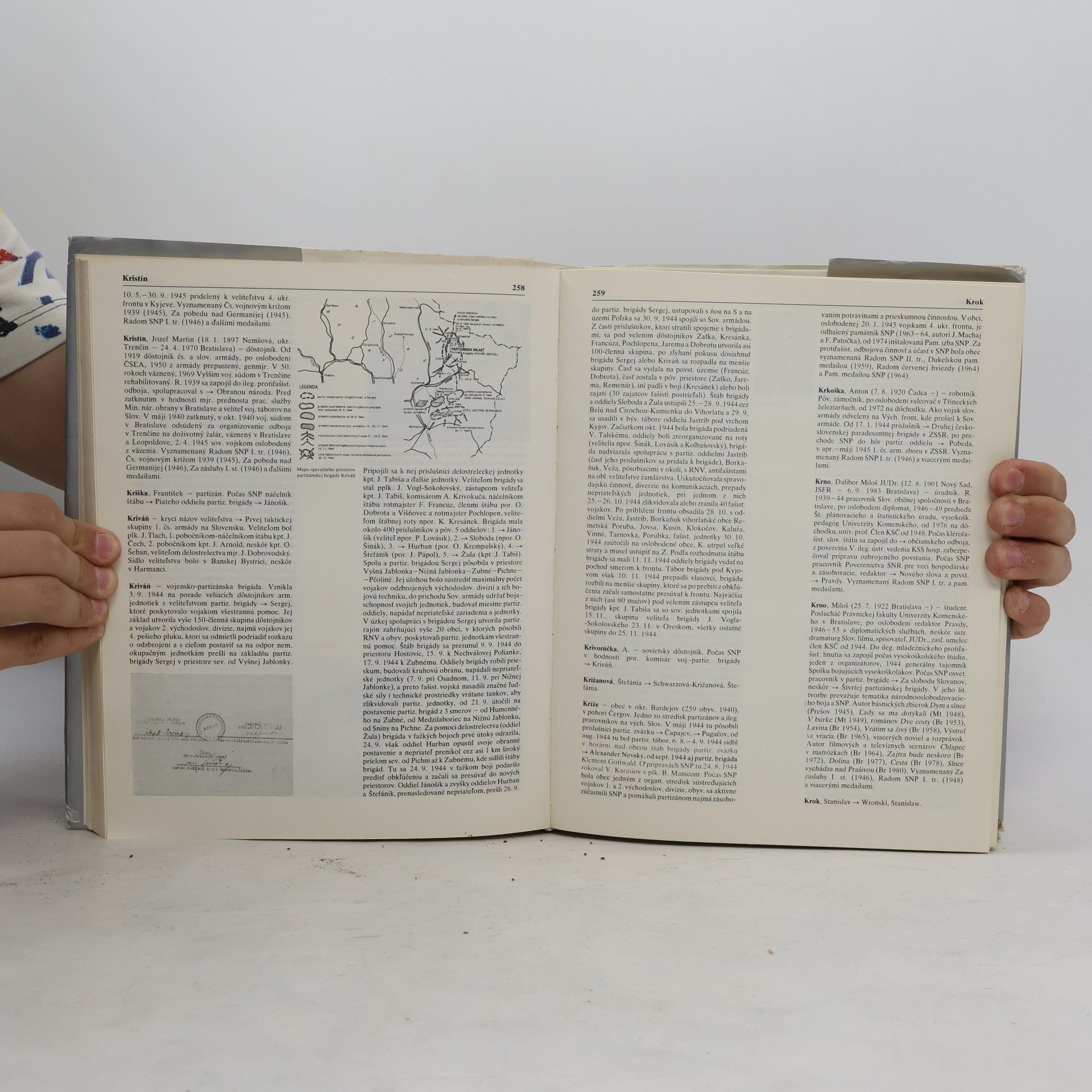 Autorenkollektiv Dejiny slovenského narodného povstania. 5. zväzok