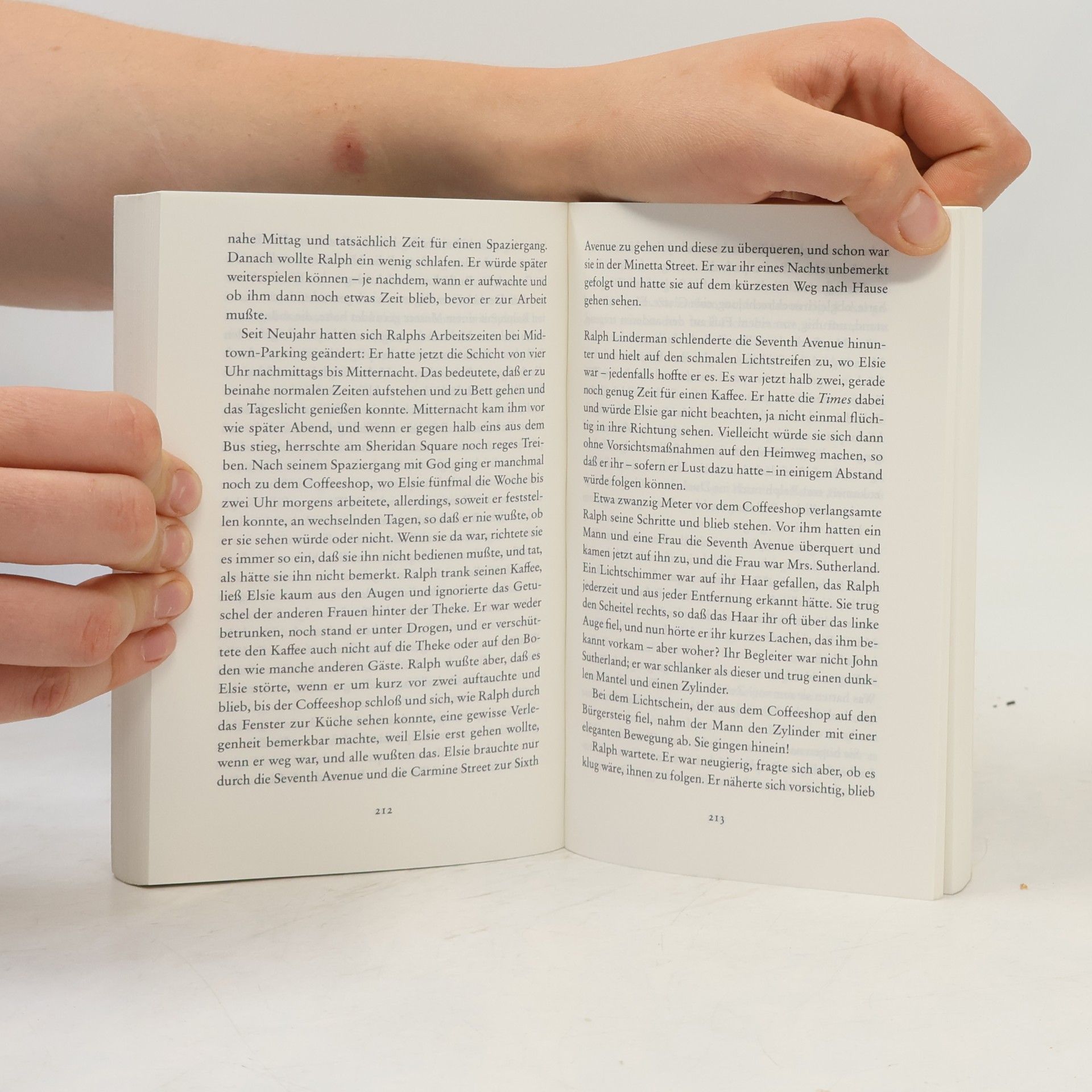 Patricia Highsmith Elsies Lebenslust