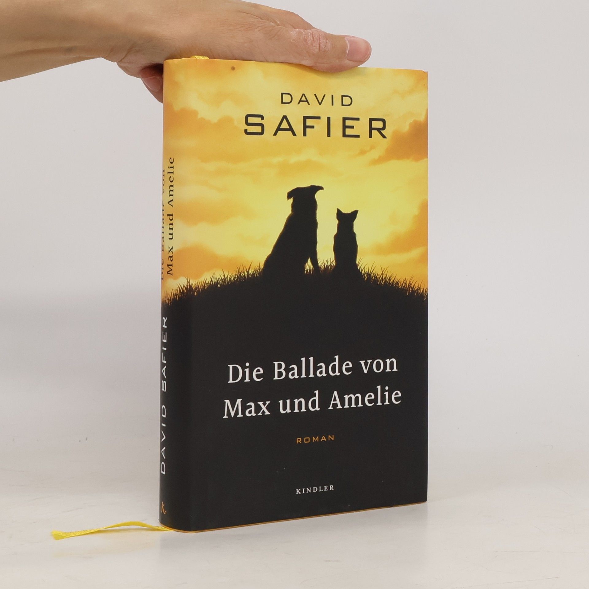 David Safier Die Ballade von Max und Amelie
