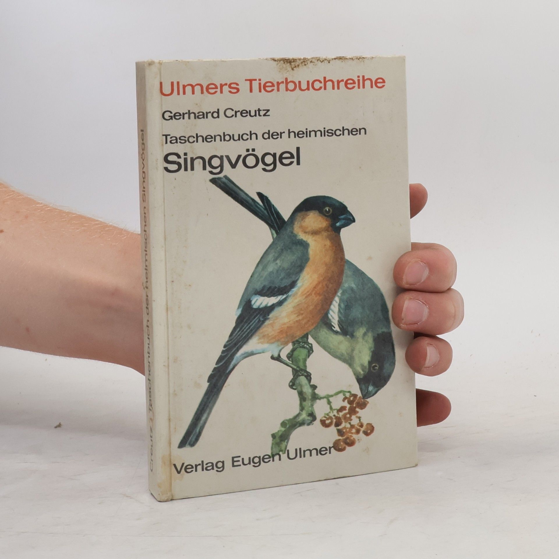 Taschenbuch der heimischen Singvögel