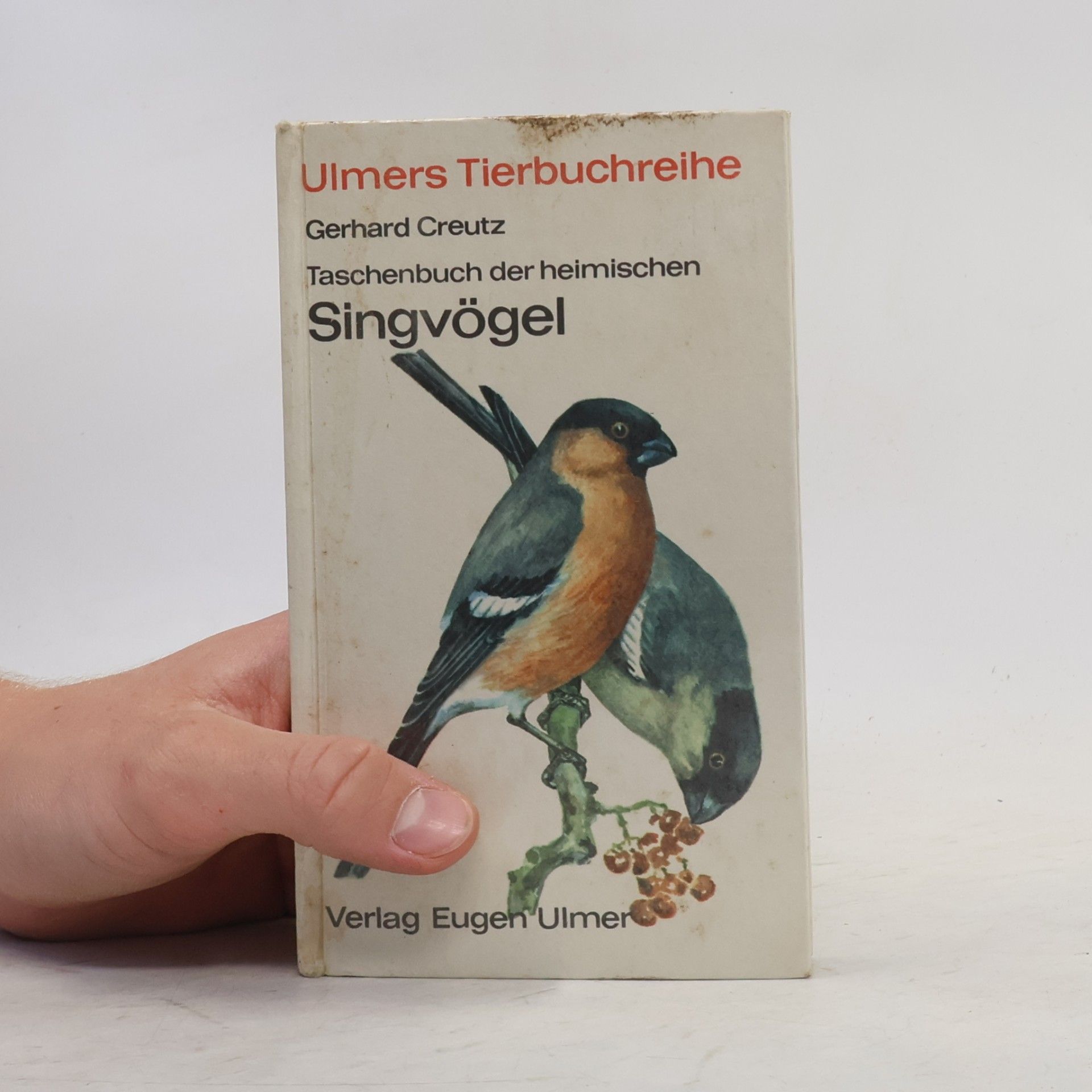 Gerhard Creutz Taschenbuch der heimischen Singvögel