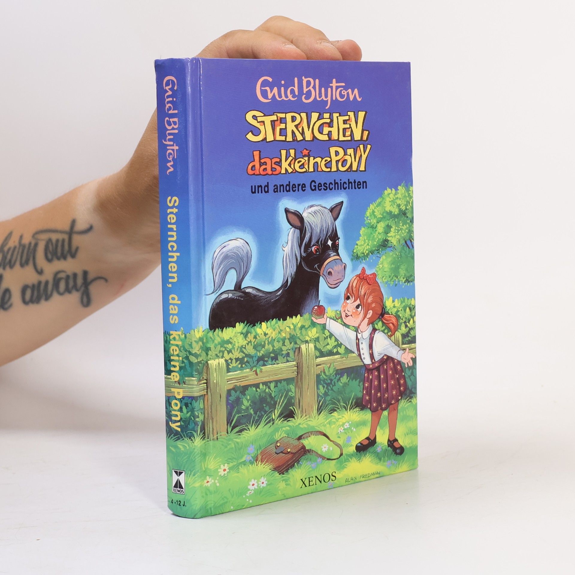 Wiebke Diederichs Sternchen, das kleine Pony