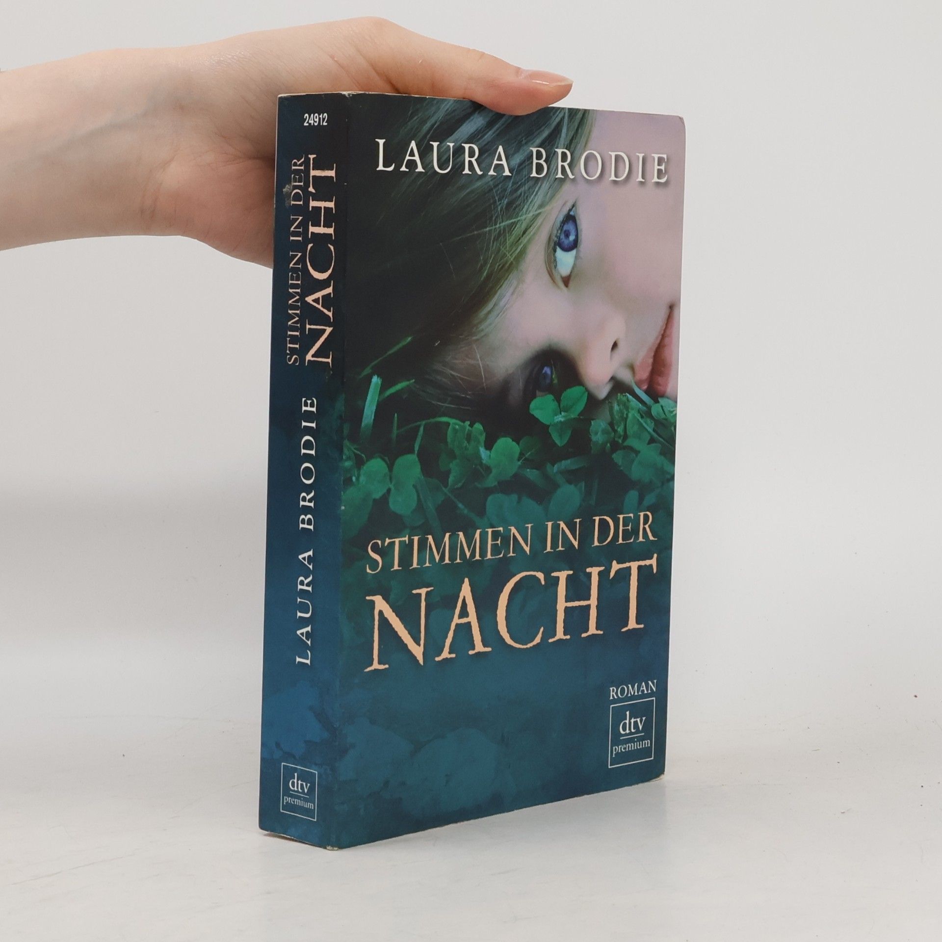 Laura Fairchild Brodie Stimmen in der Nacht