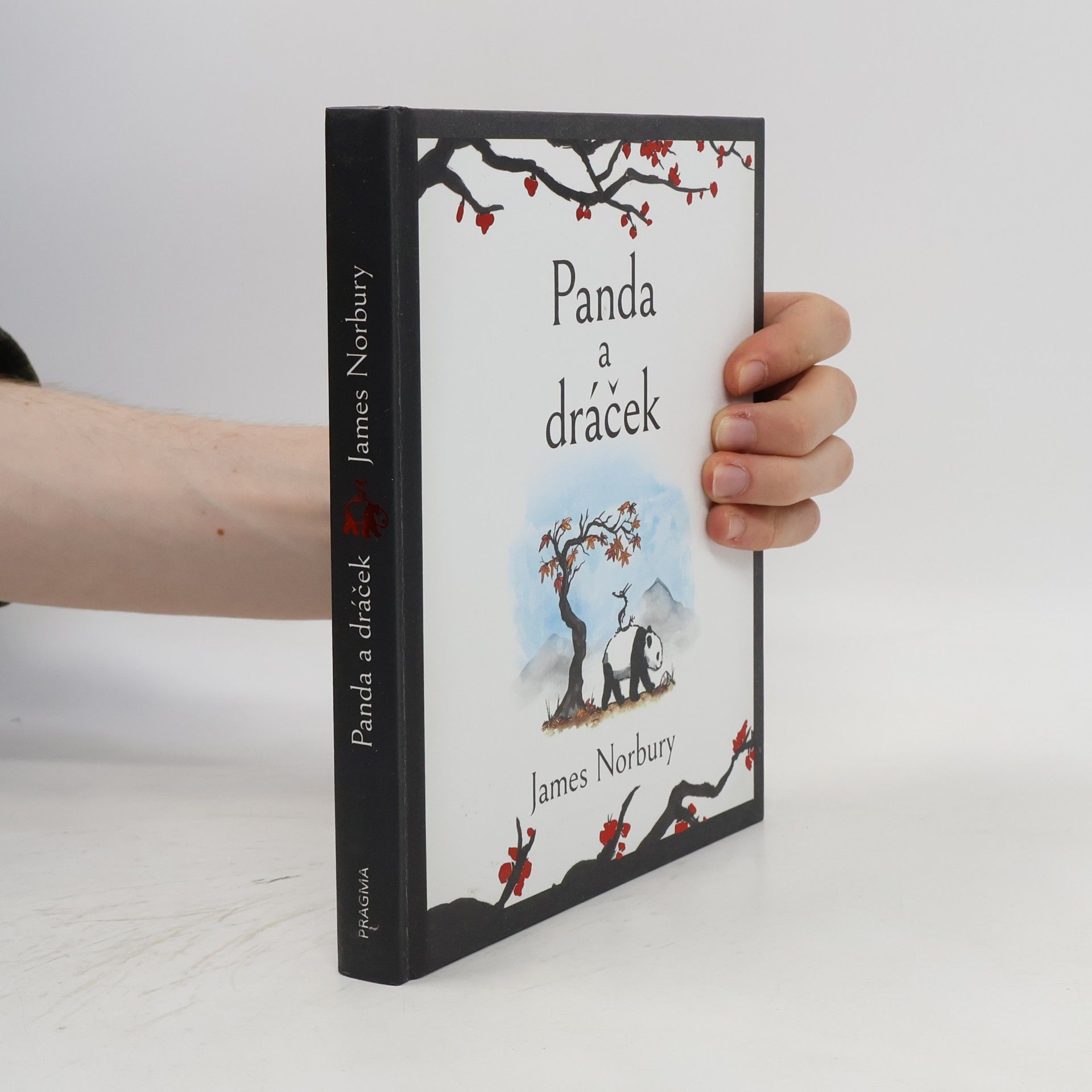 James Norbury Panda a dráček