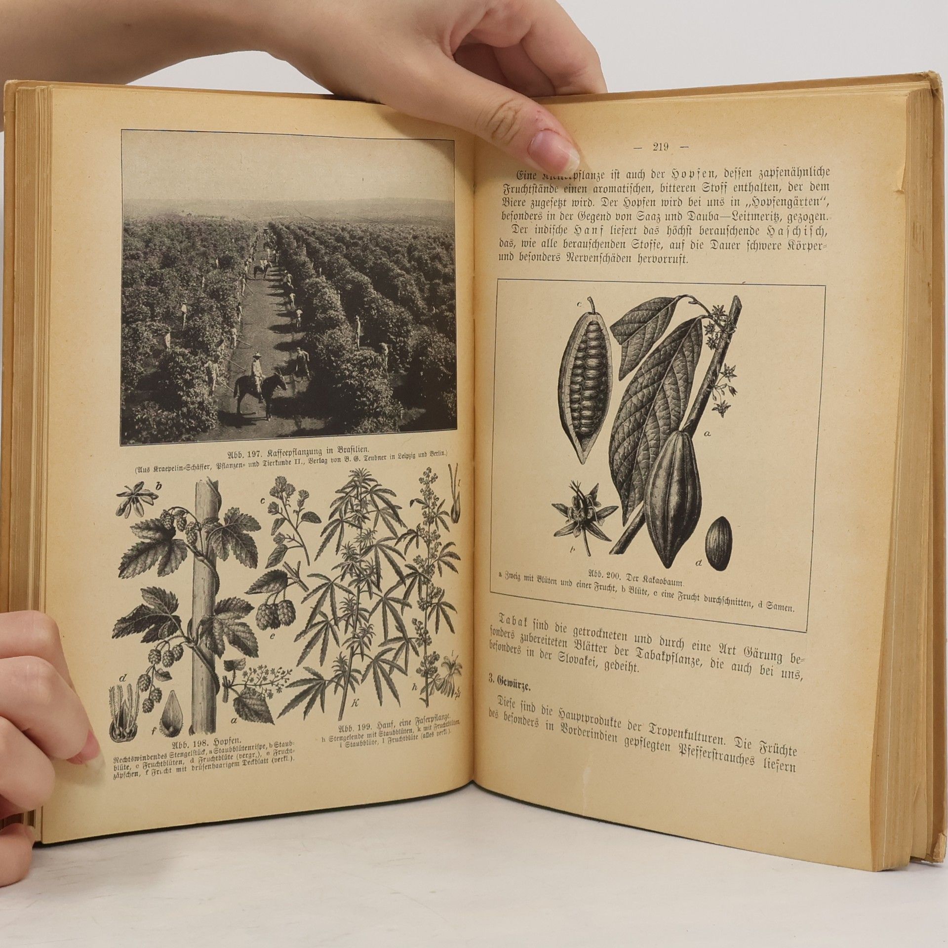 Autorenkollektiv Lehrbuch der Naturgeschichte